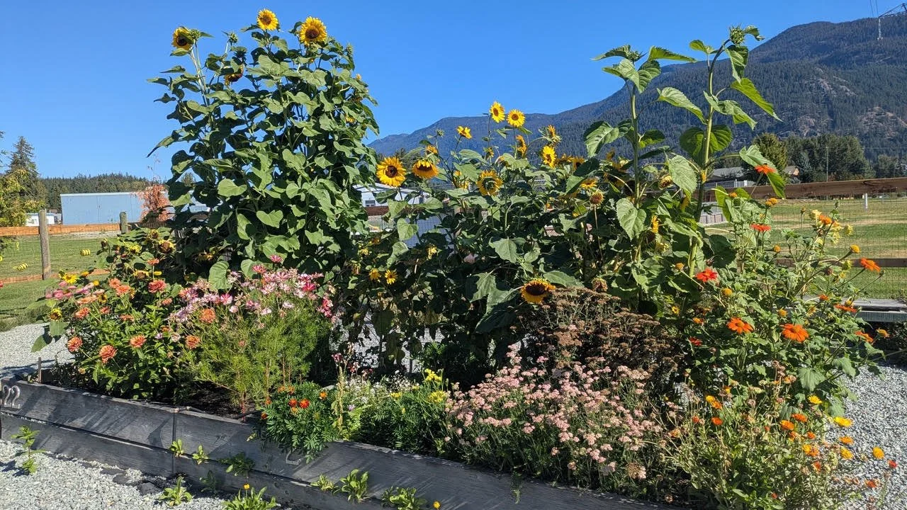 Cycle and Snack Garden Tour