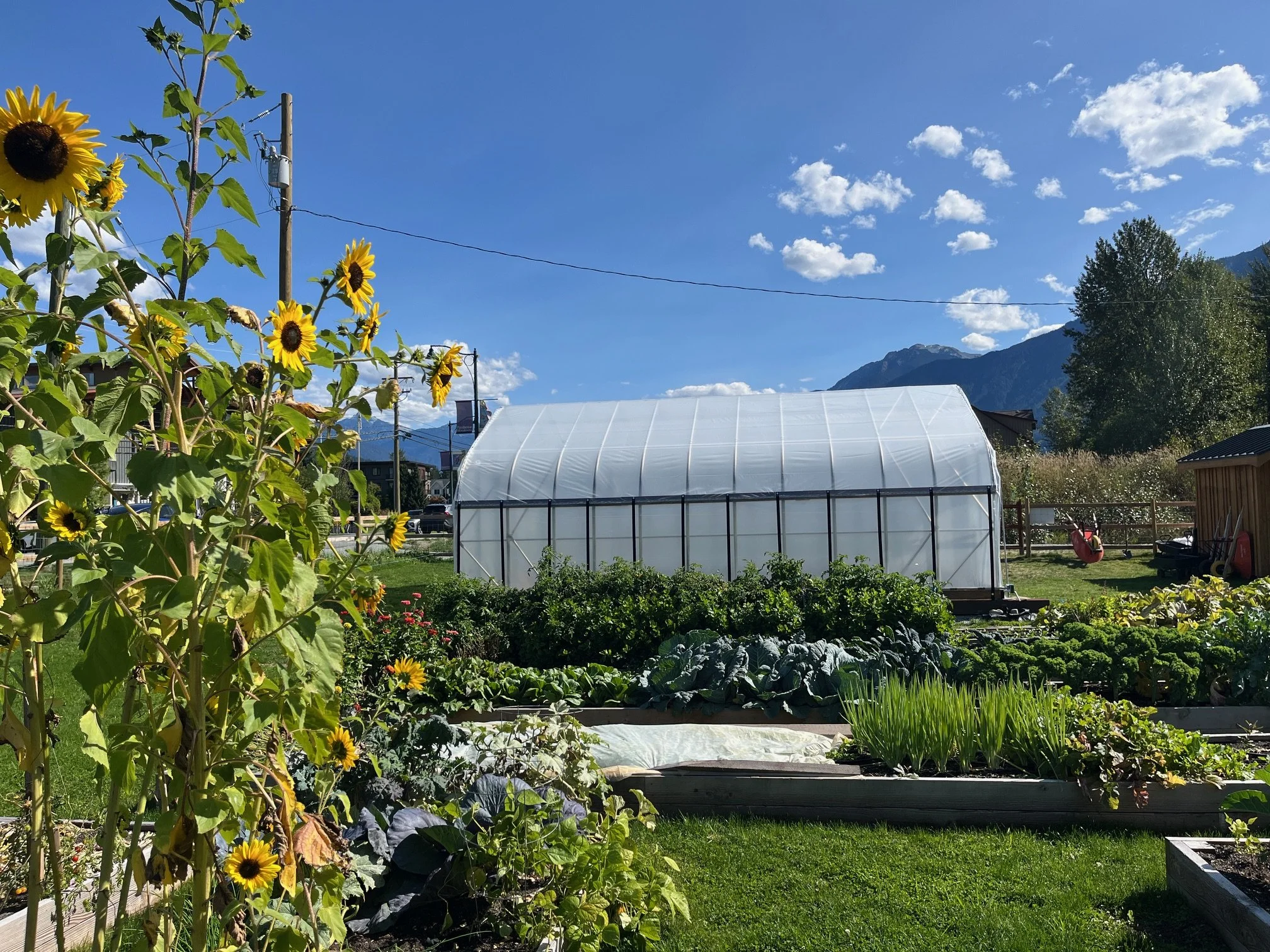 Community Garden Harvest Season Celebration!