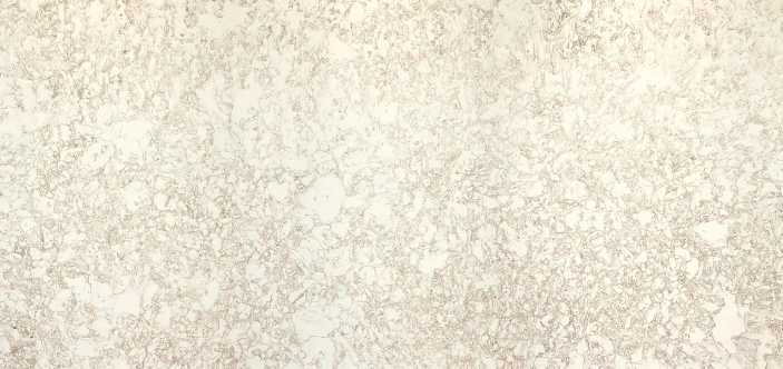 Screen Shot 2024-01-20 at 9.53.49 AM.png