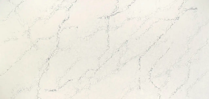 Screen Shot 2024-01-20 at 9.51.27 AM.png