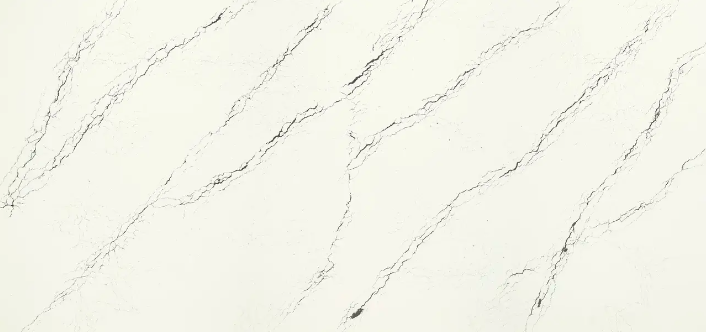 Screen Shot 2024-01-20 at 9.43.52 AM.png