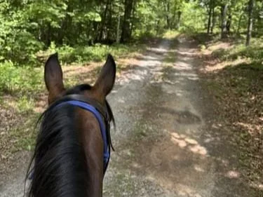 Trail Ride - Ashland Farm