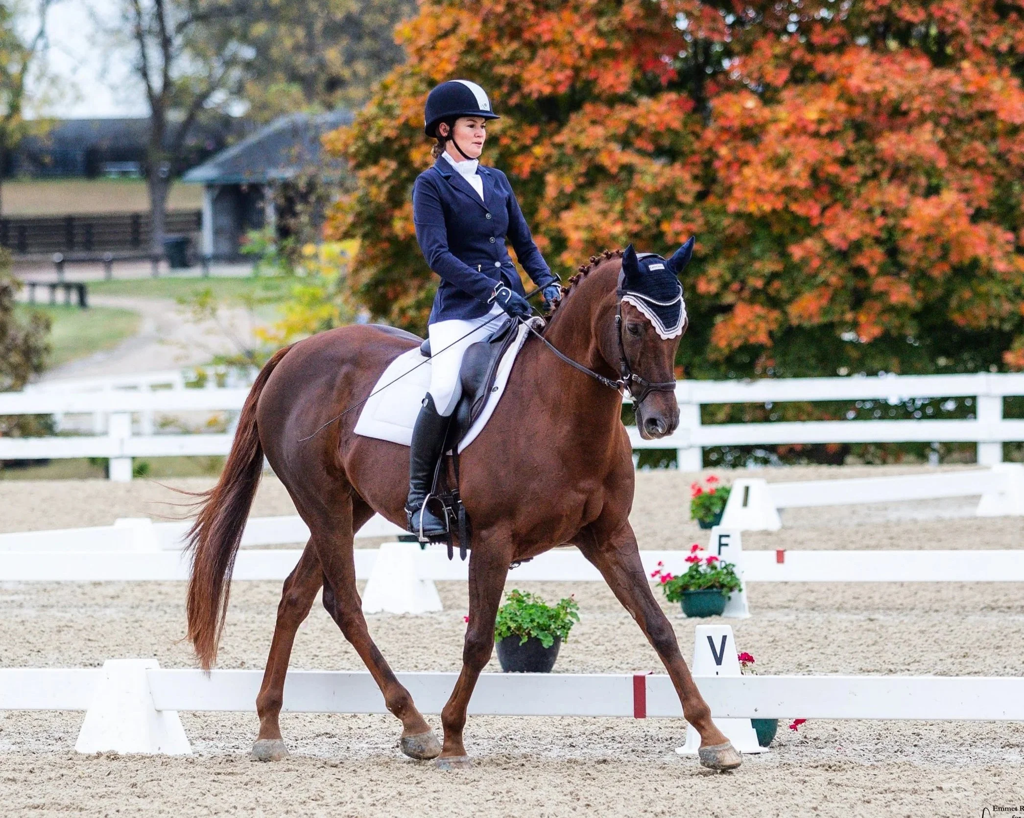 Meg Monthly Dressage Clinic - Sample