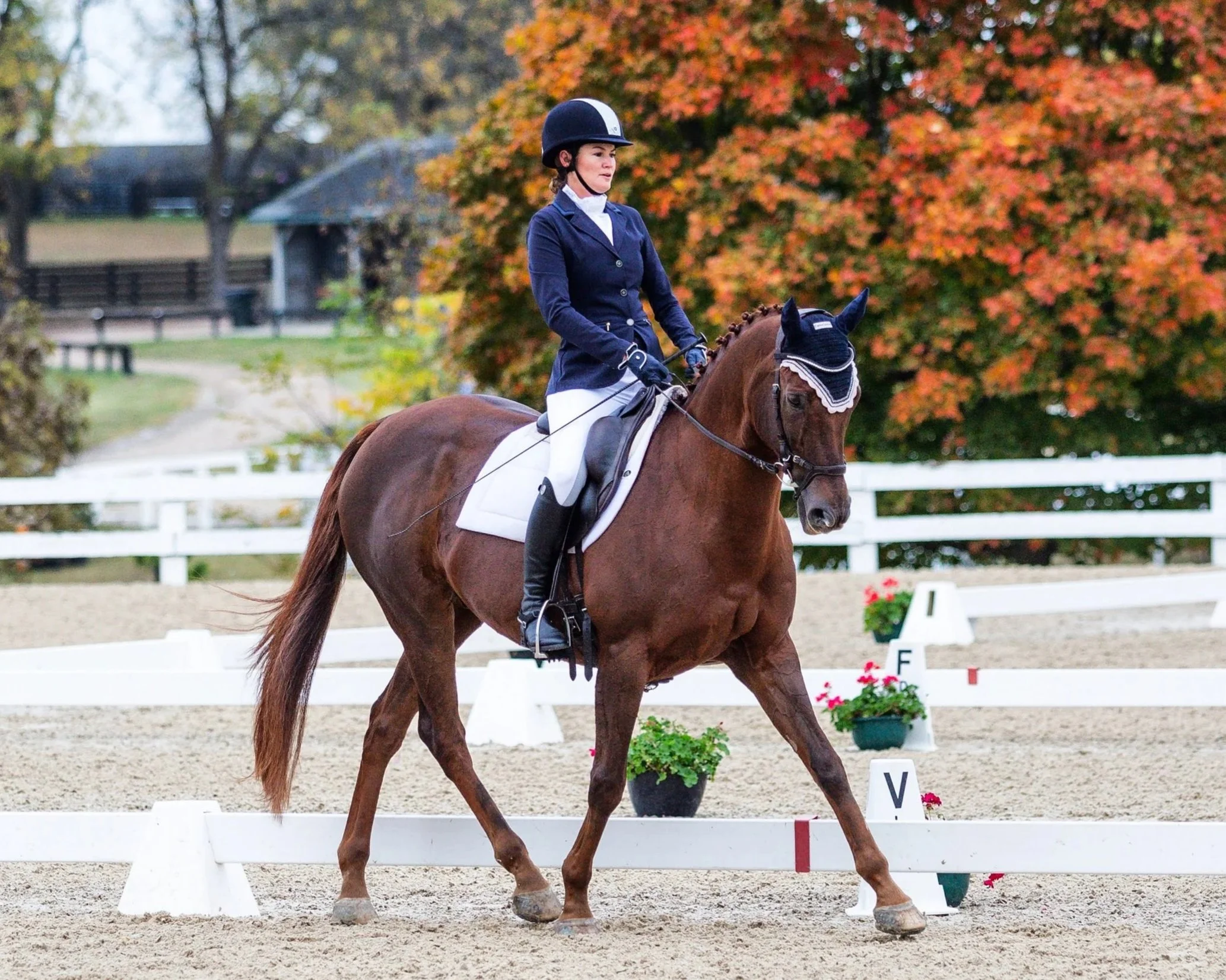 Meg Monthly Dressage Clinic - March