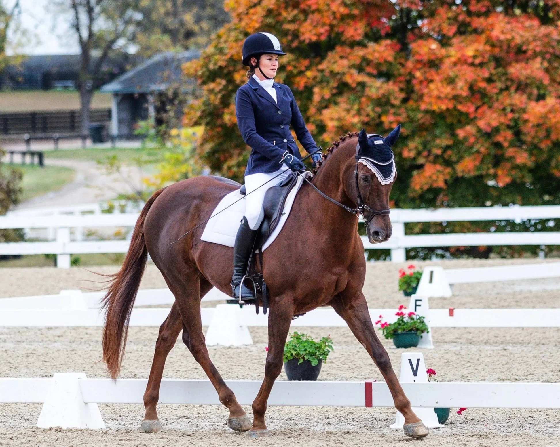 Meg Monthly Dressage Clinic - April