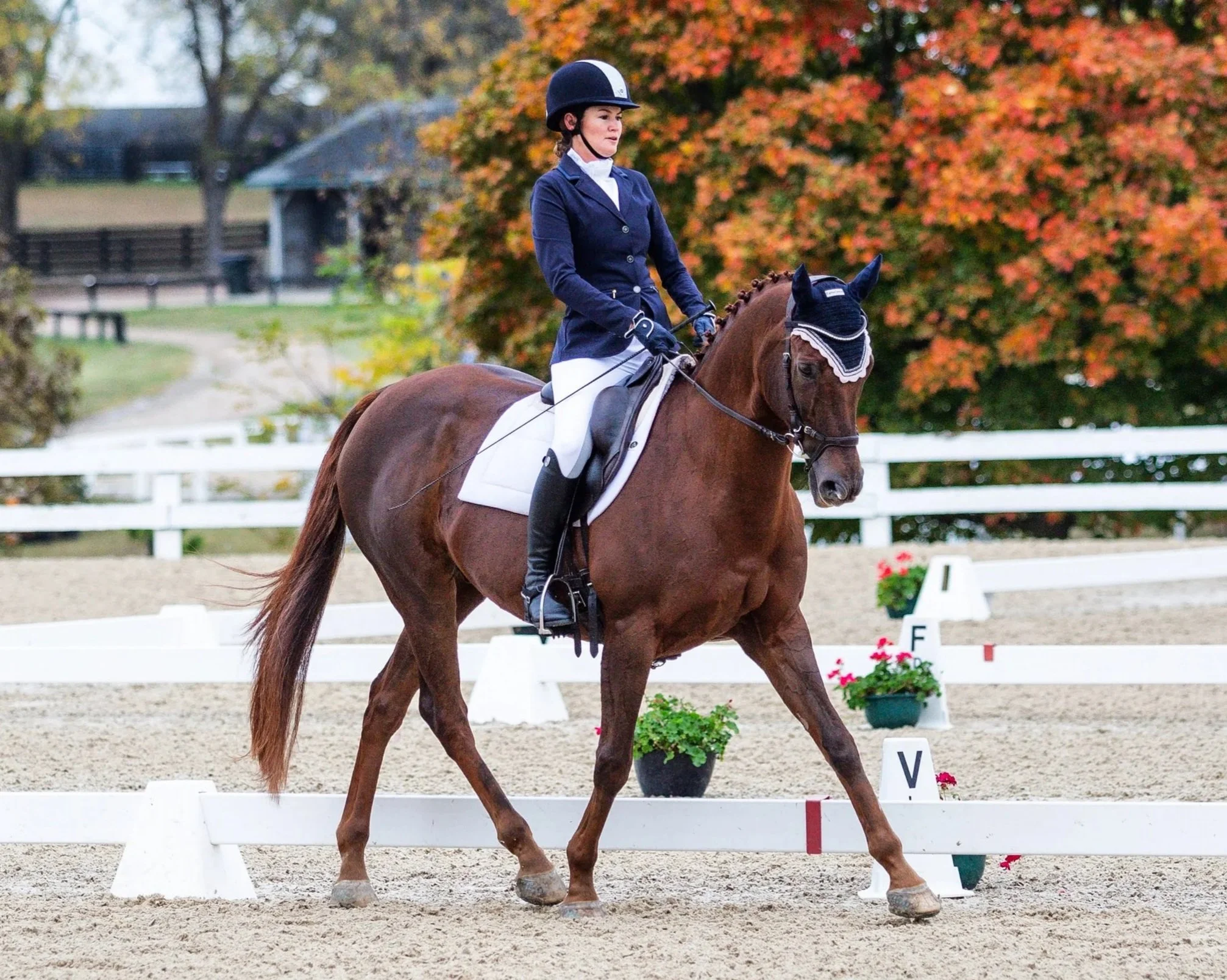 Meg Monthly Dressage Clinic - May
