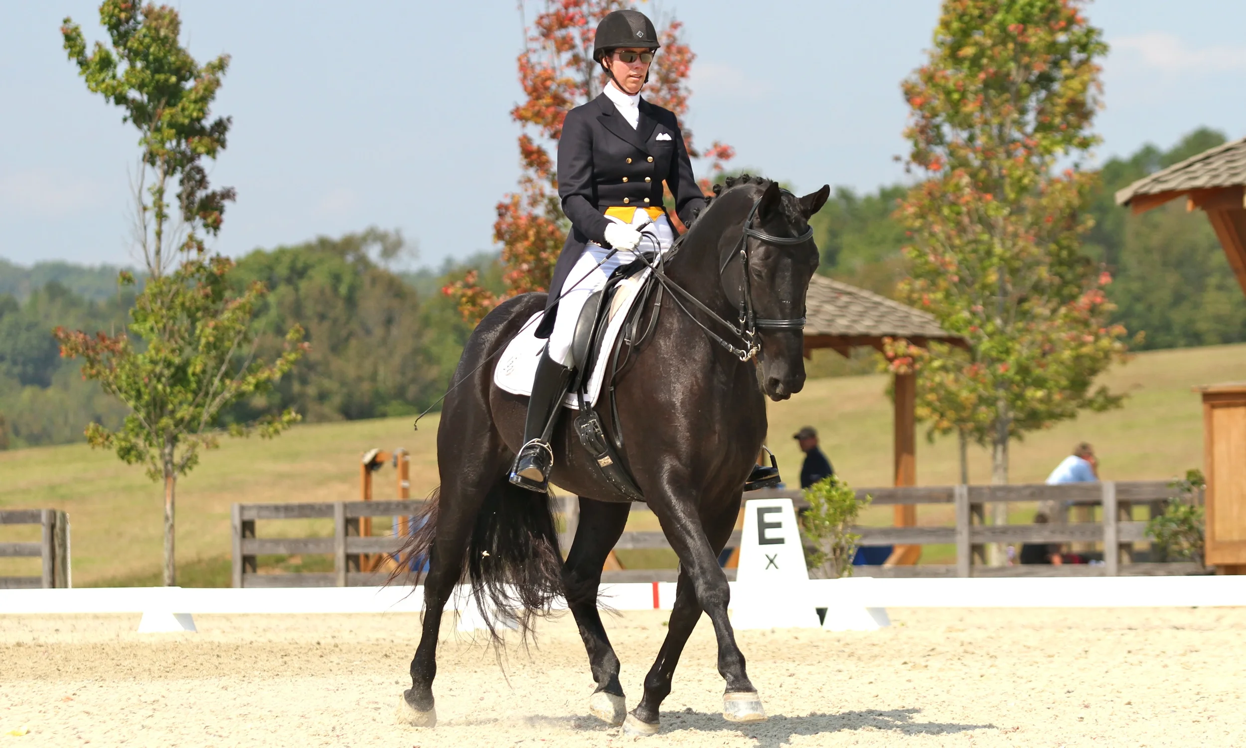 Cindy Thaxton Dressage Clinic