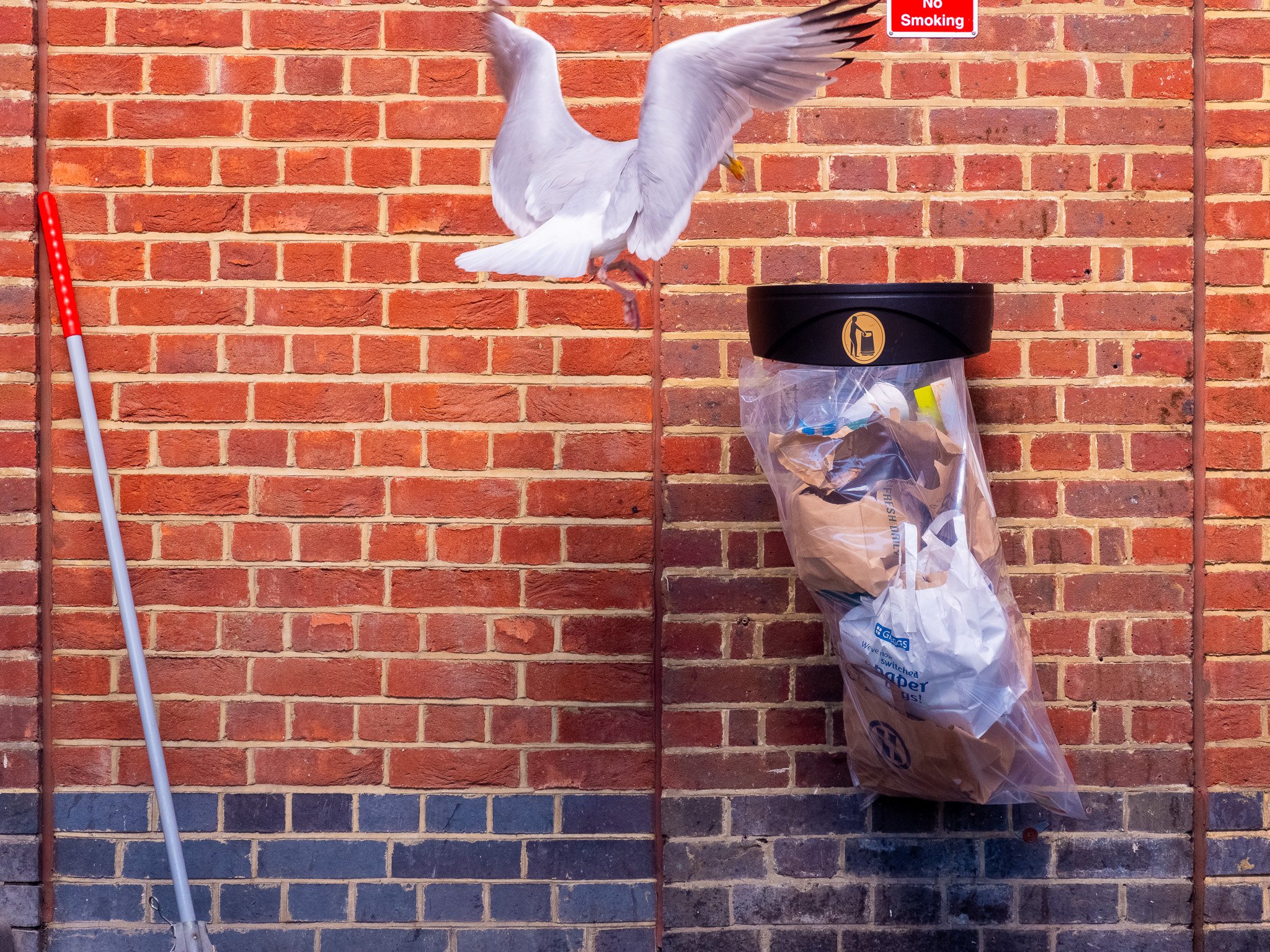 _DSF0434.jpg