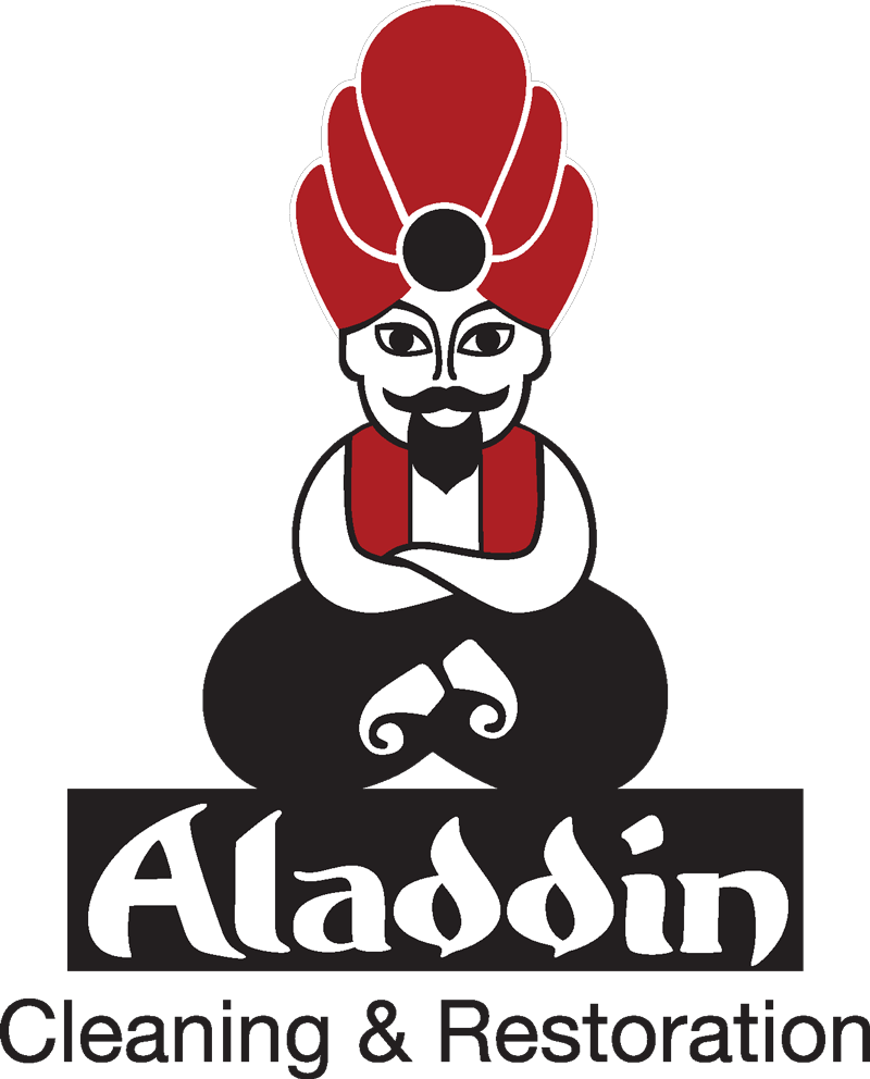 Aladdin_logo_final_print.png
