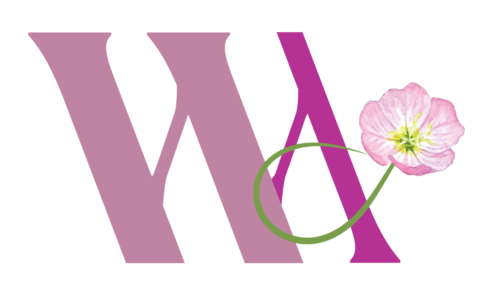 $500 Wildflower Aesthetics.png