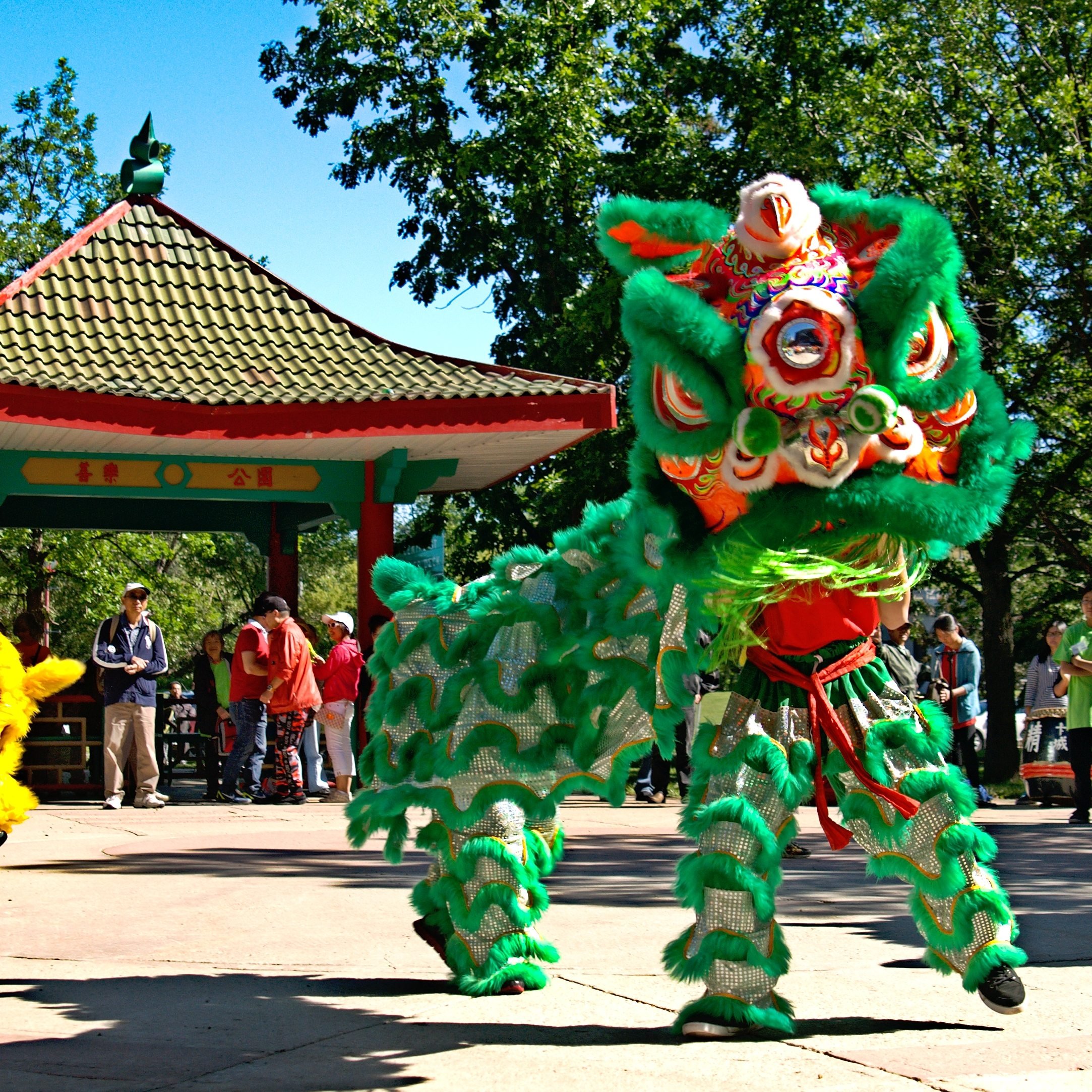 Chinese Lion Dancers (Click for Video)