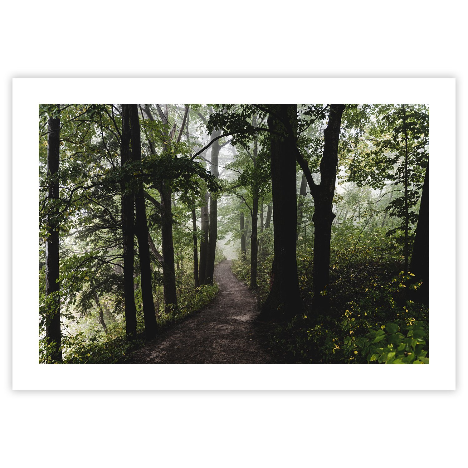 pop-shop-thepath.jpg