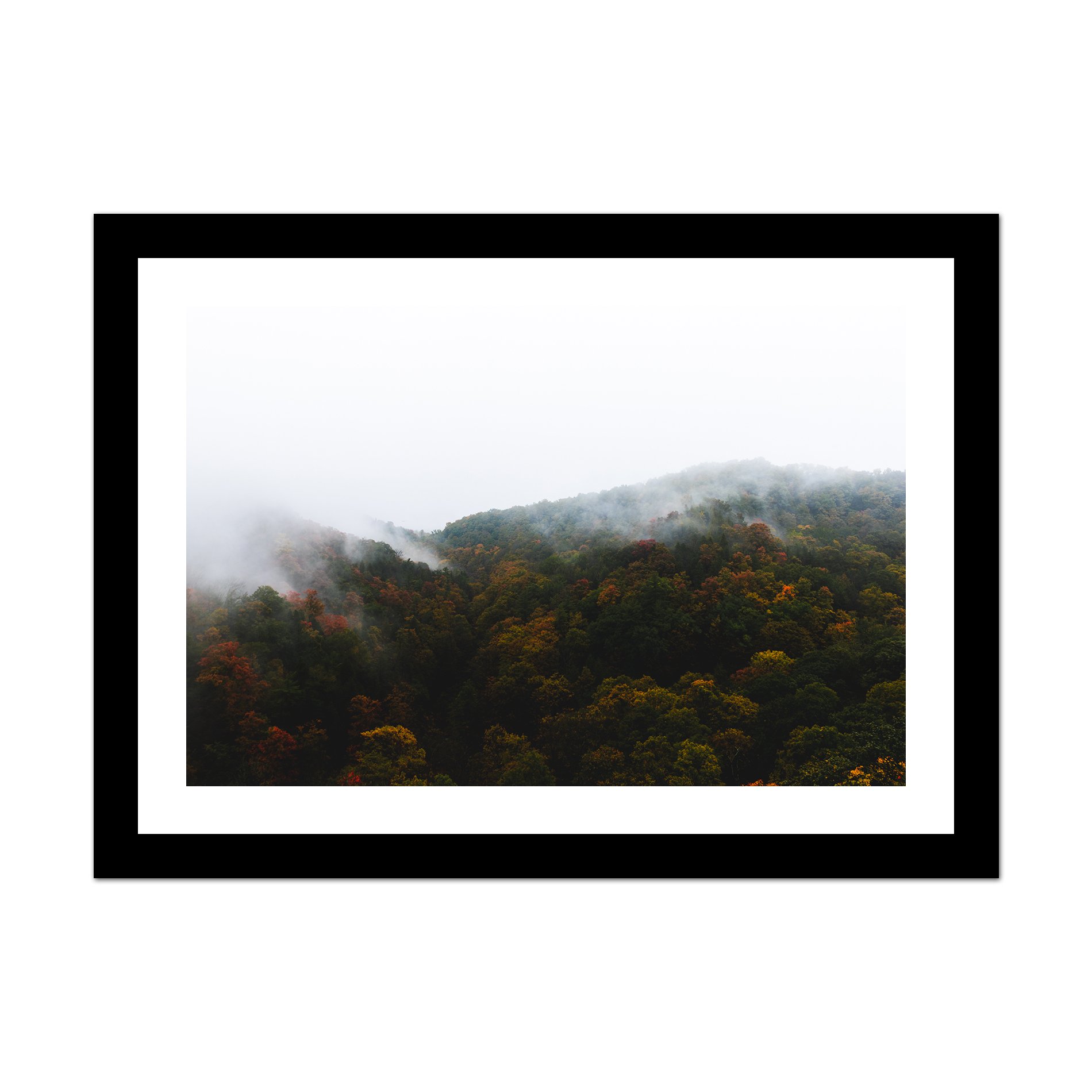 pop-shop-framed-wtwcd-c.jpg