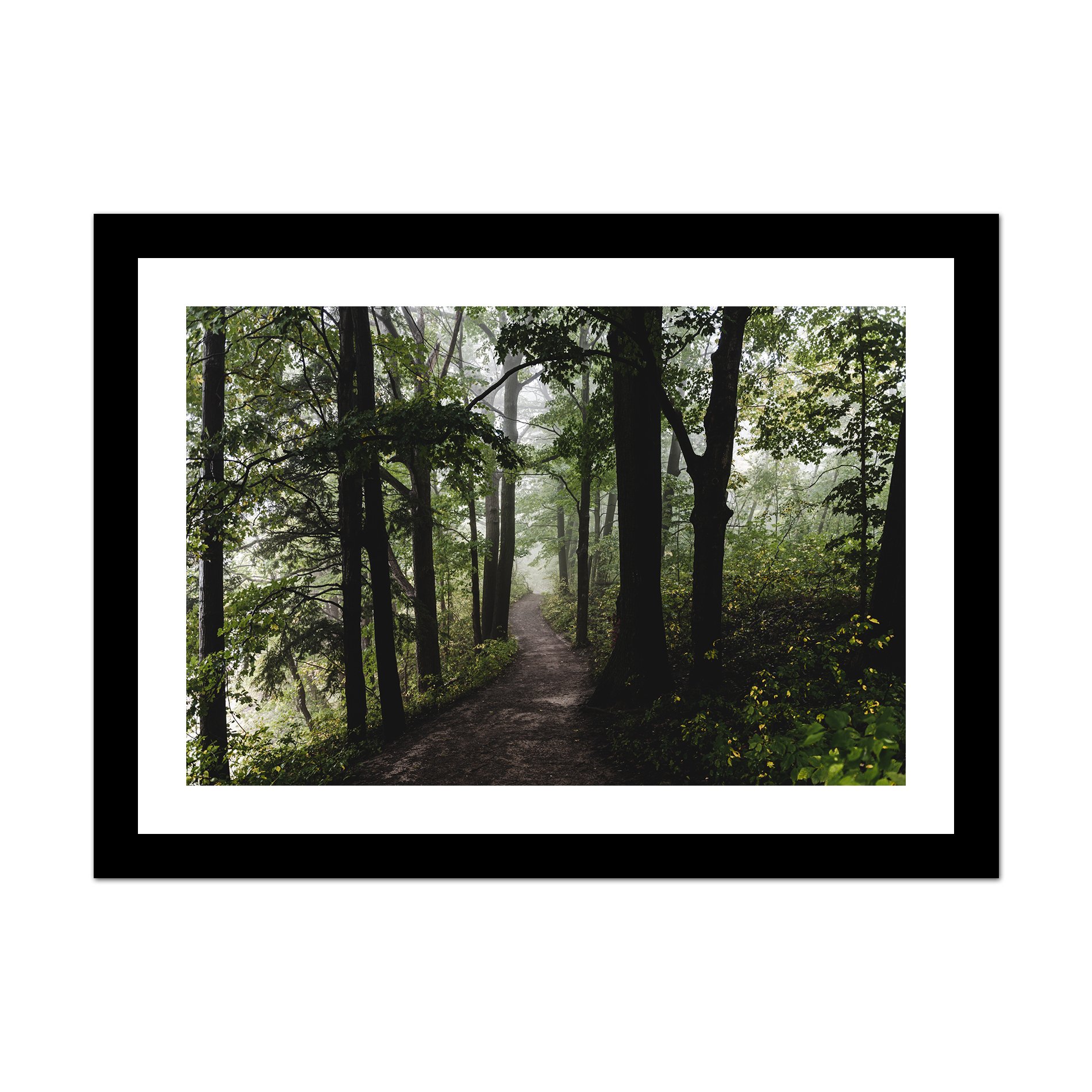 pop-shop-framed-the-path.jpg