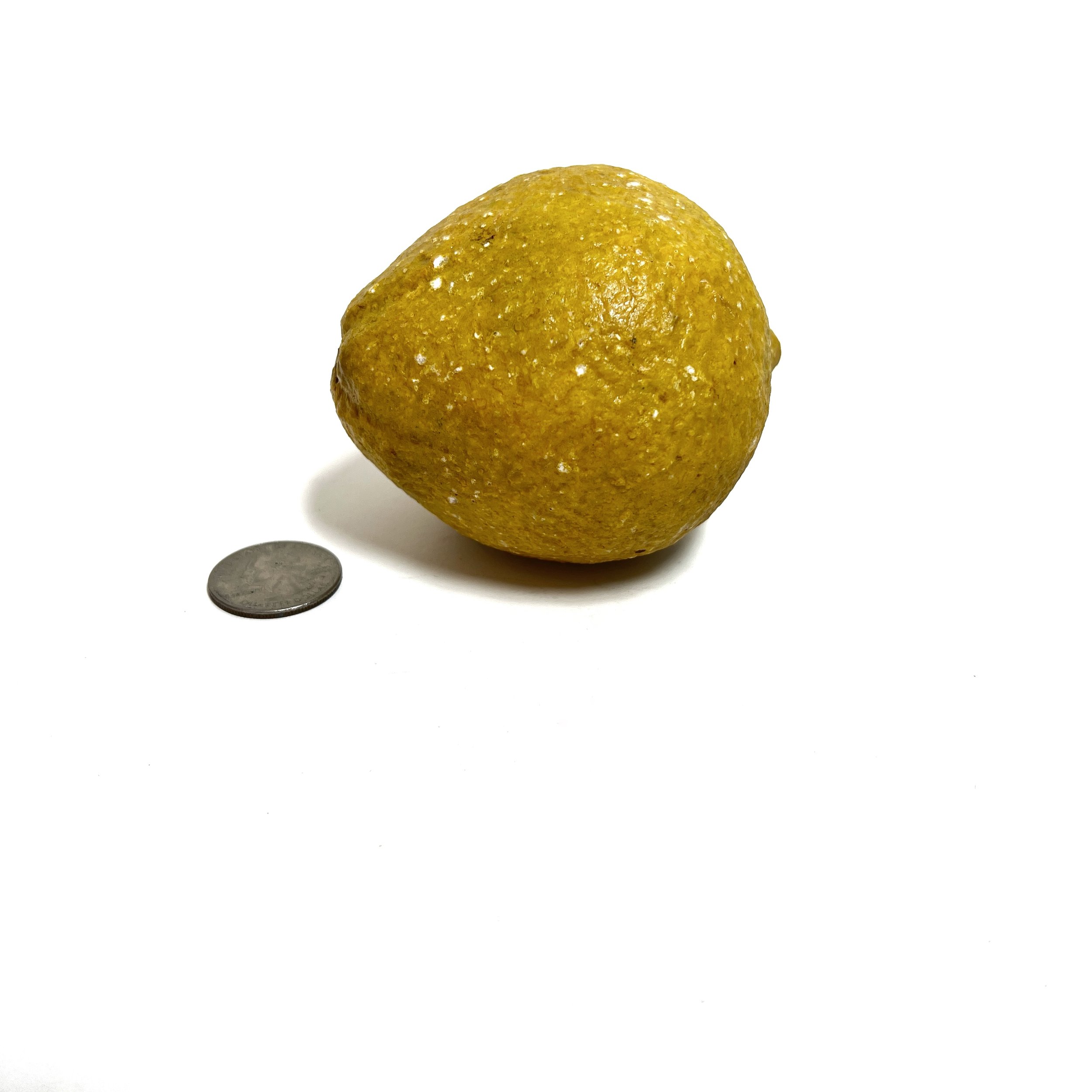 stashestates-alabaster-lemon-6.jpeg