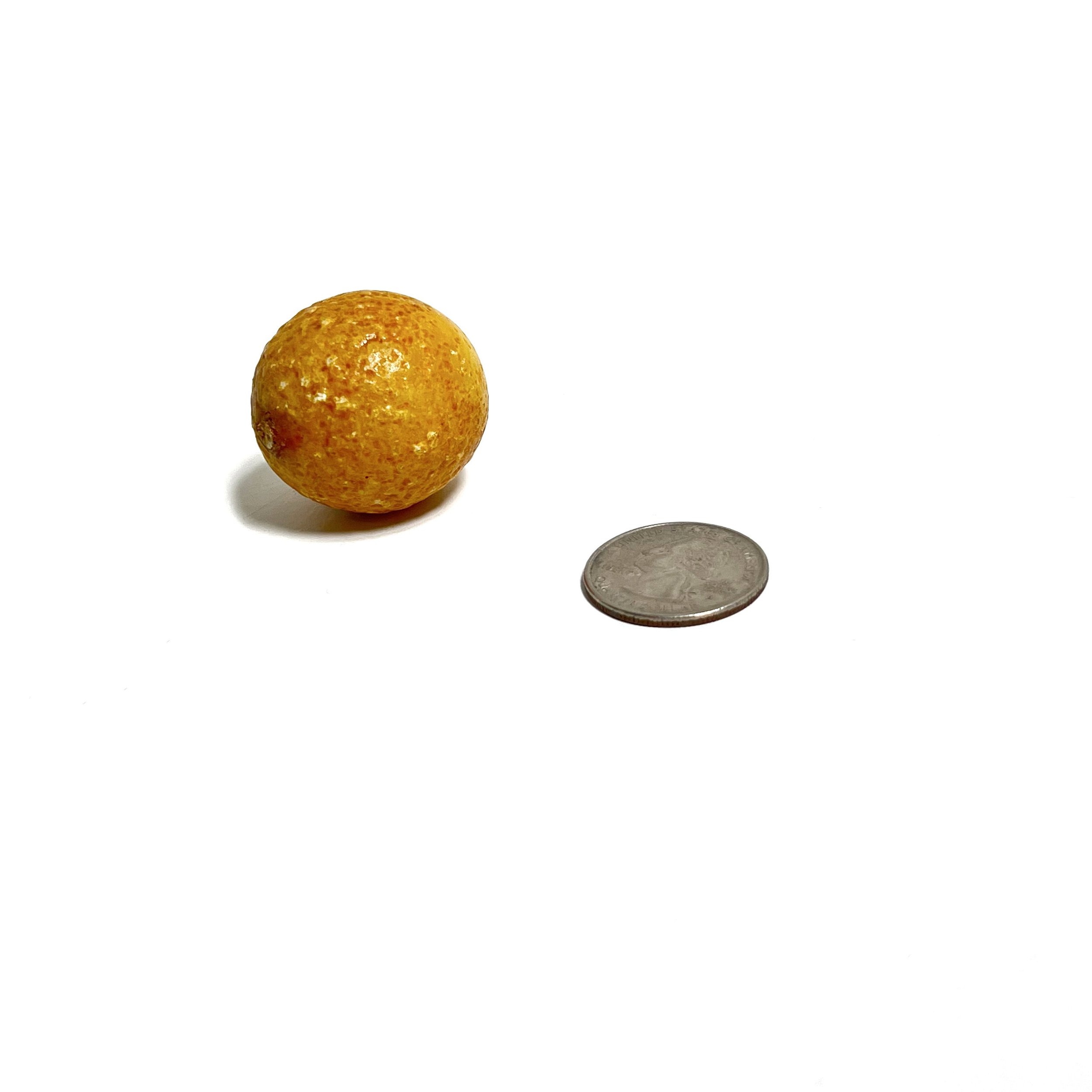 https://i.etsystatic.com/7562957/r/il/2b3066/4093101573/il_fullxfull.4093101573_js2n.jpg