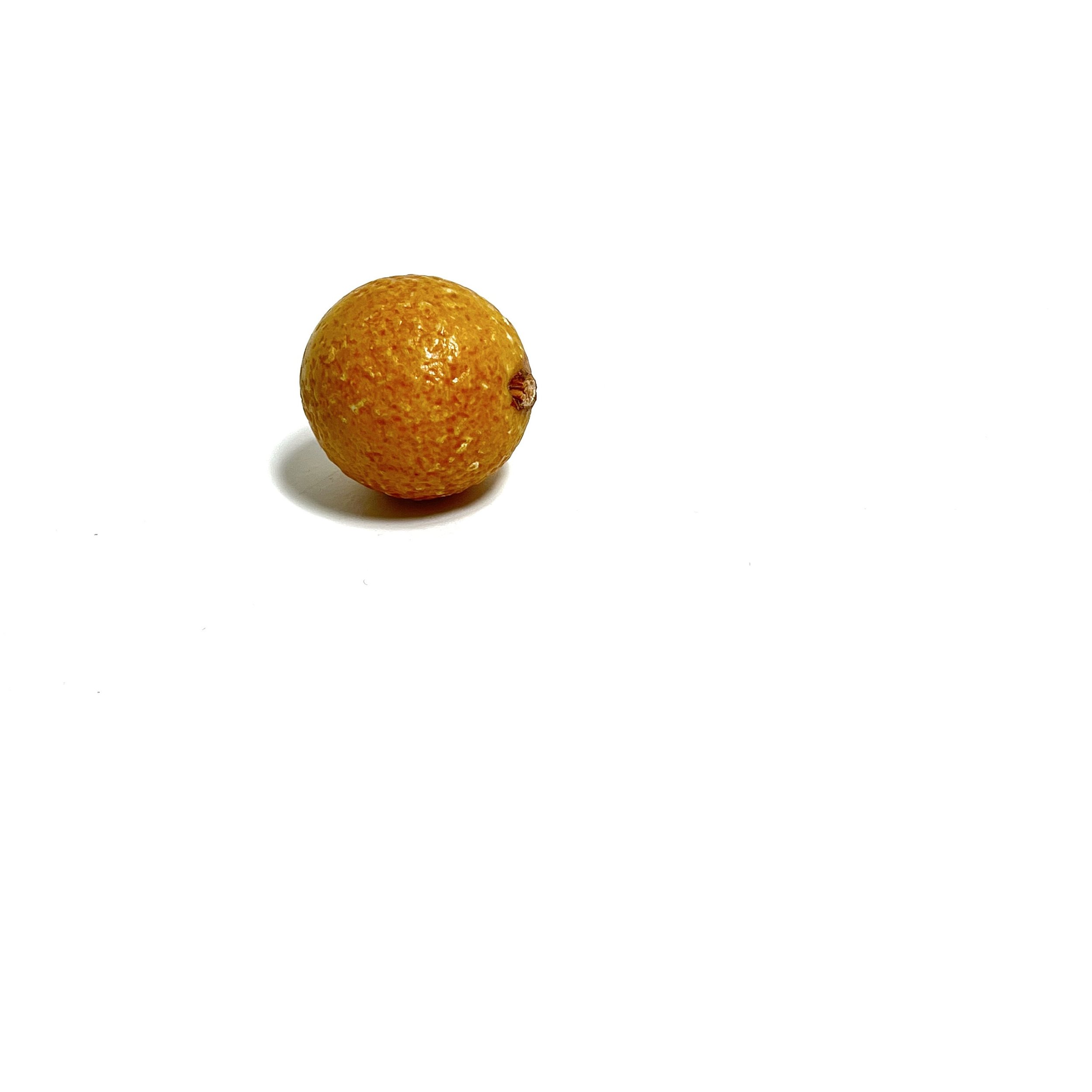 https://i.etsystatic.com/7562957/r/il/acf904/4093101567/il_fullxfull.4093101567_1fs6.jpg