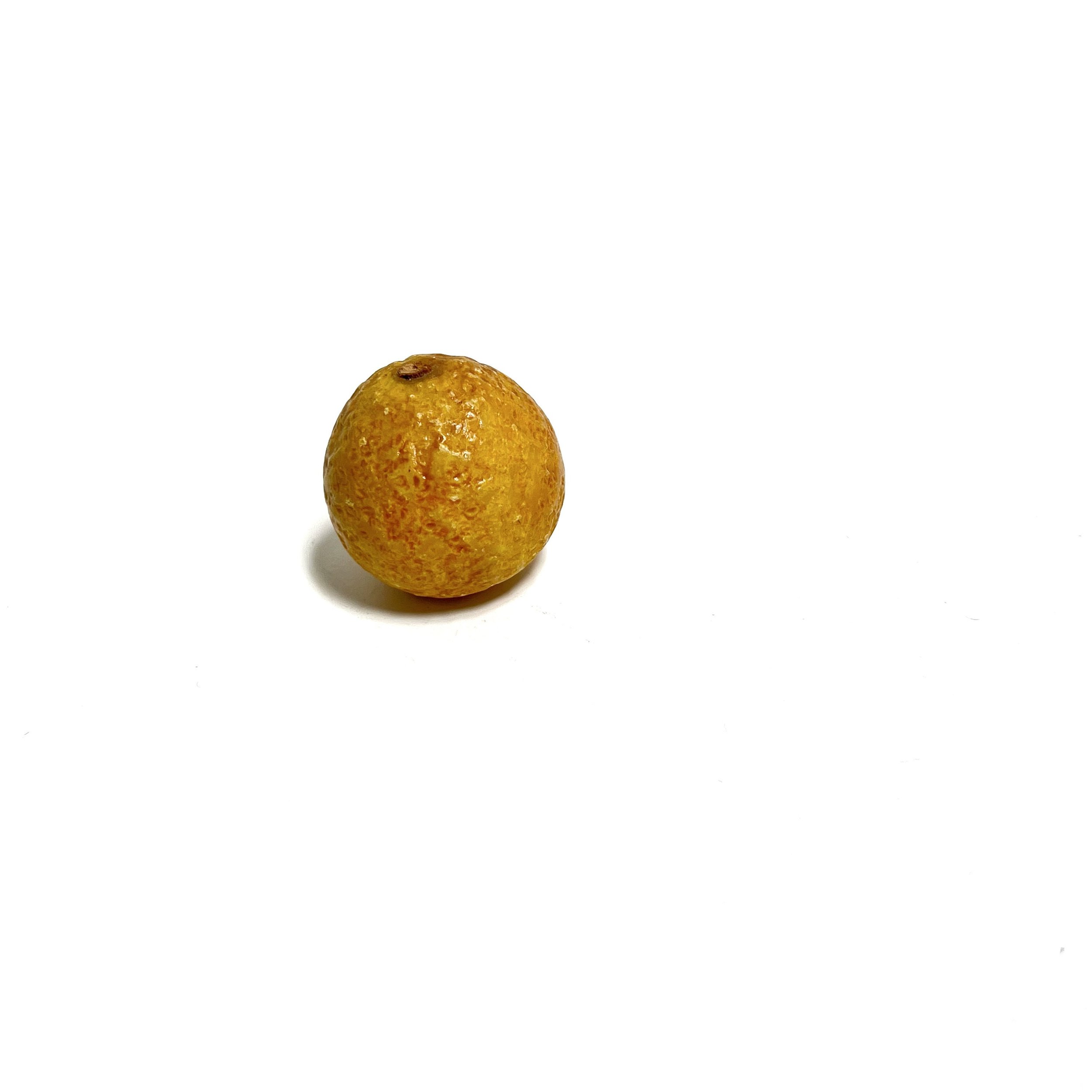 https://i.etsystatic.com/7562957/r/il/e824fd/4093099565/il_fullxfull.4093099565_cpku.jpg