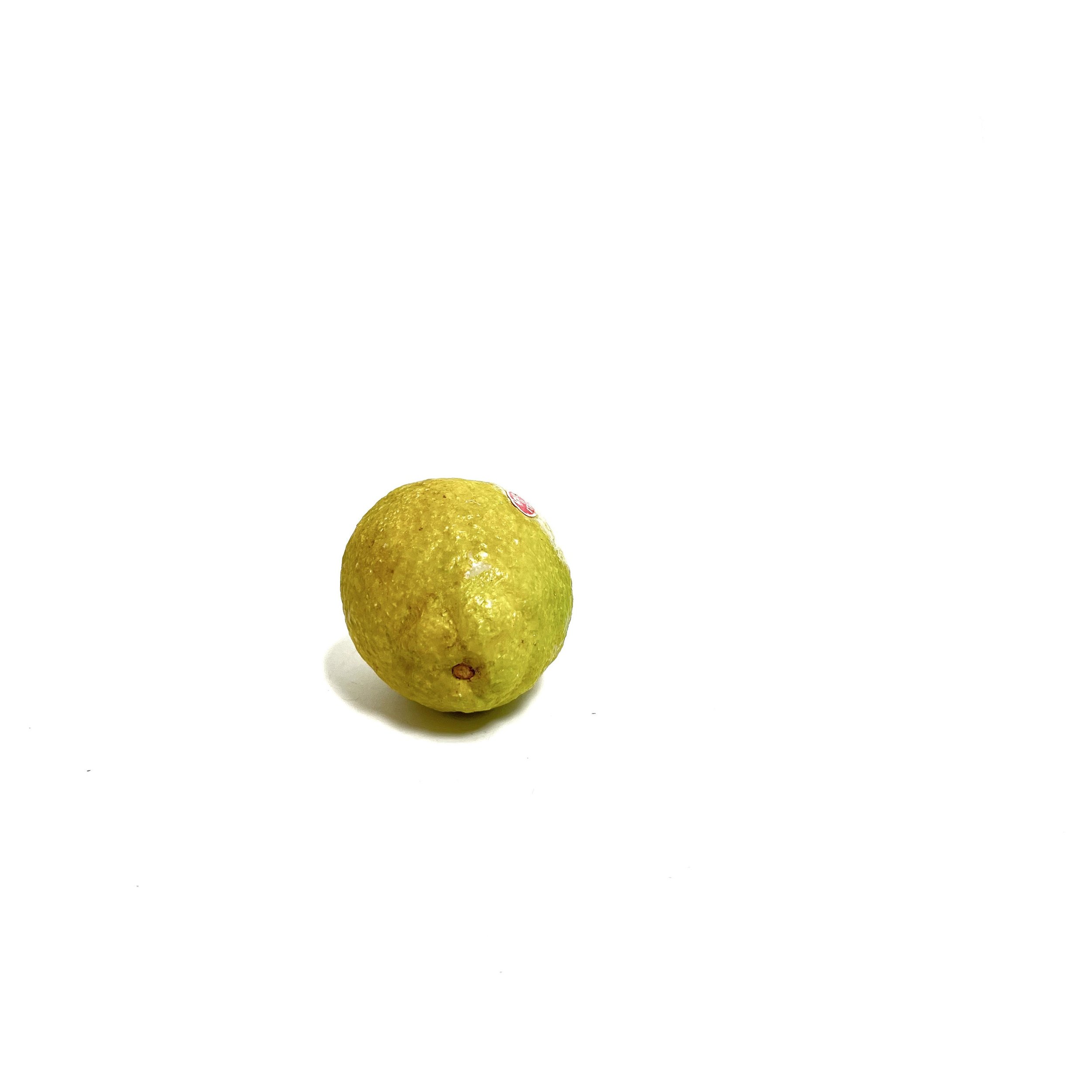 https://i.etsystatic.com/7562957/r/il/116e1c/4014474871/il_fullxfull.4014474871_ea3p.jpg