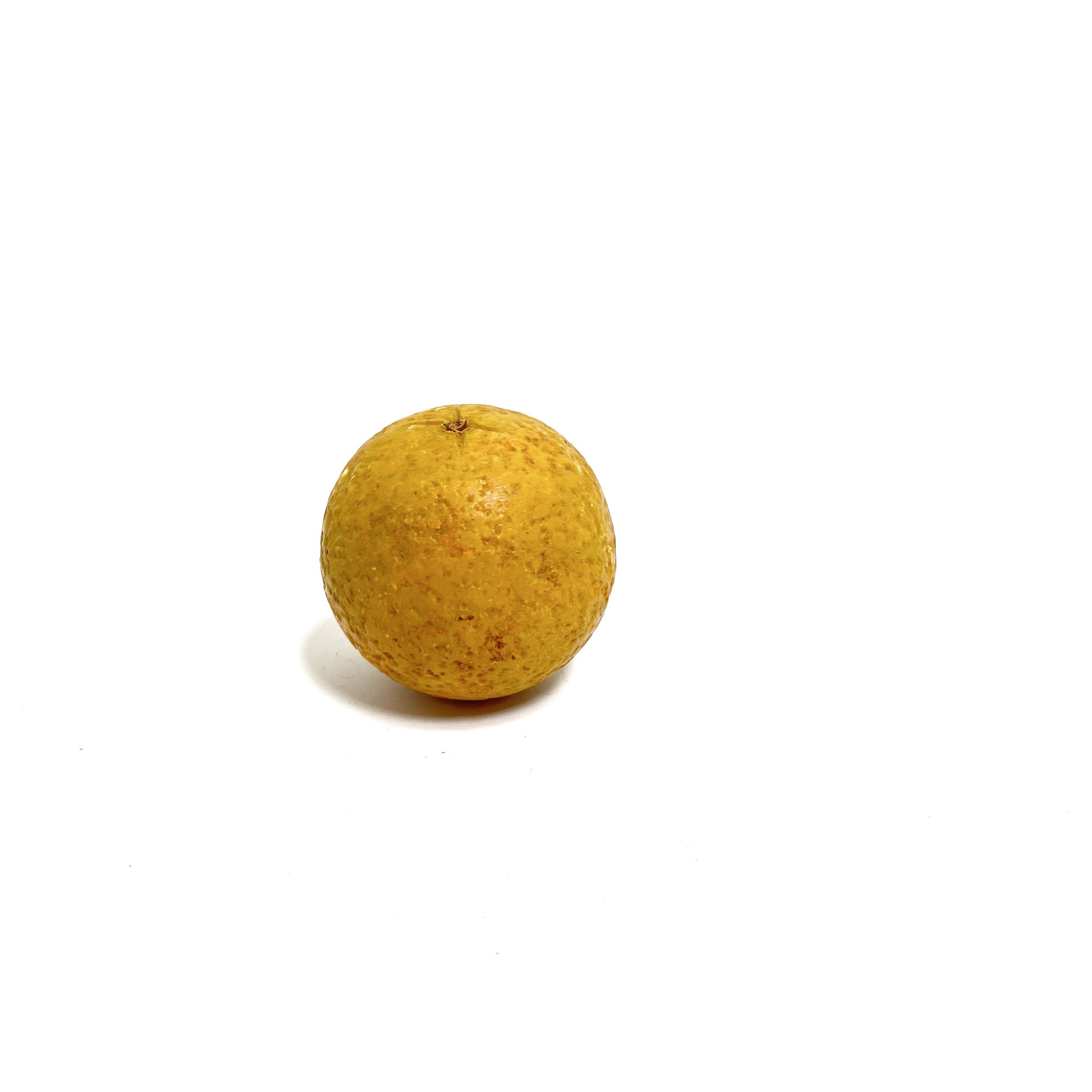 https://i.etsystatic.com/7562957/r/il/0b4fc9/3966825762/il_fullxfull.3966825762_lwf8.jpg