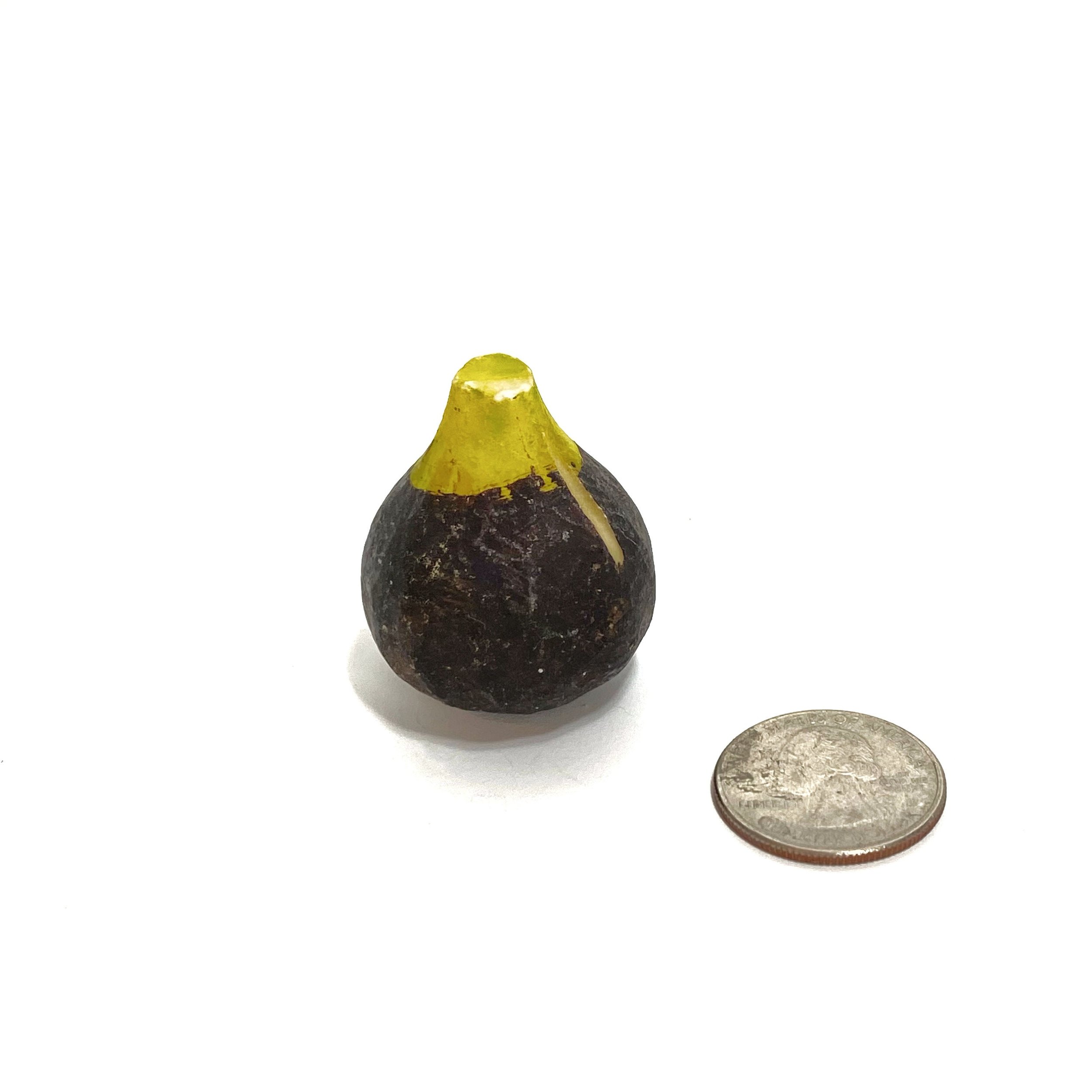 https://i.etsystatic.com/7562957/r/il/554dd5/3029314808/il_fullxfull.3029314808_cc3y.jpg