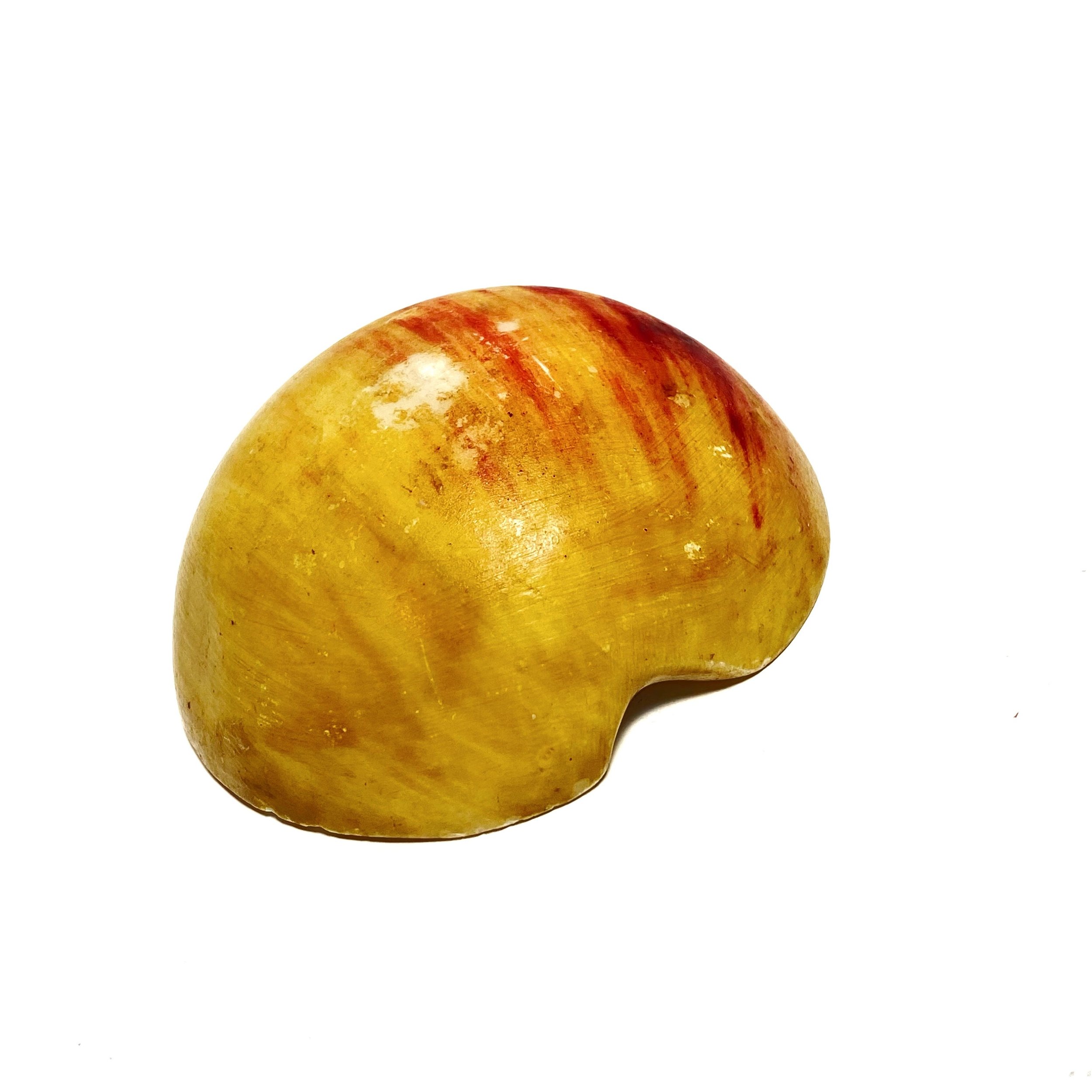 https://i.etsystatic.com/7562957/r/il/a01137/3268438561/il_fullxfull.3268438561_jrzk.jpg