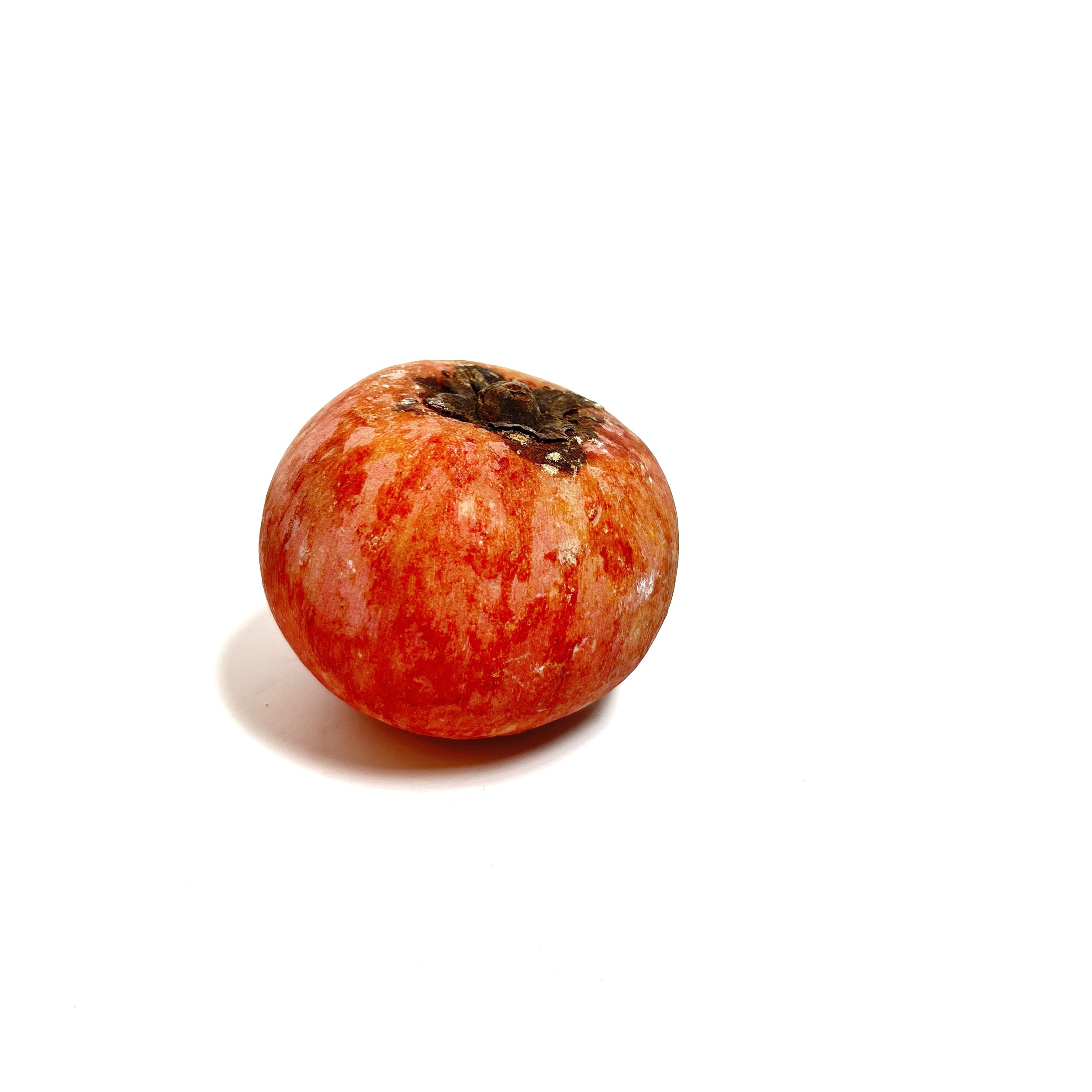 stashestates-alabaster-persimmon-4.jpeg