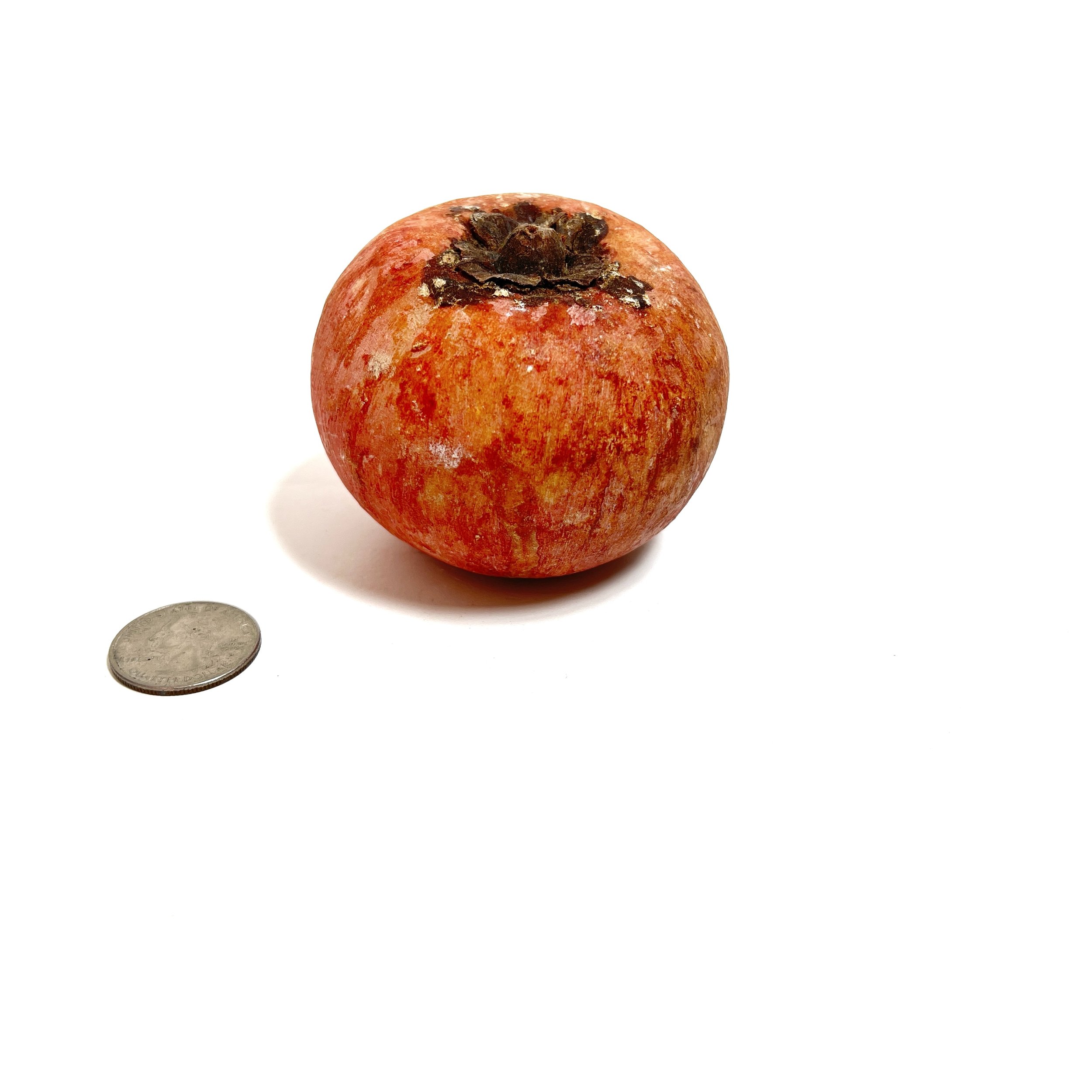 stashestates-alabaster-persimmon-7.jpeg