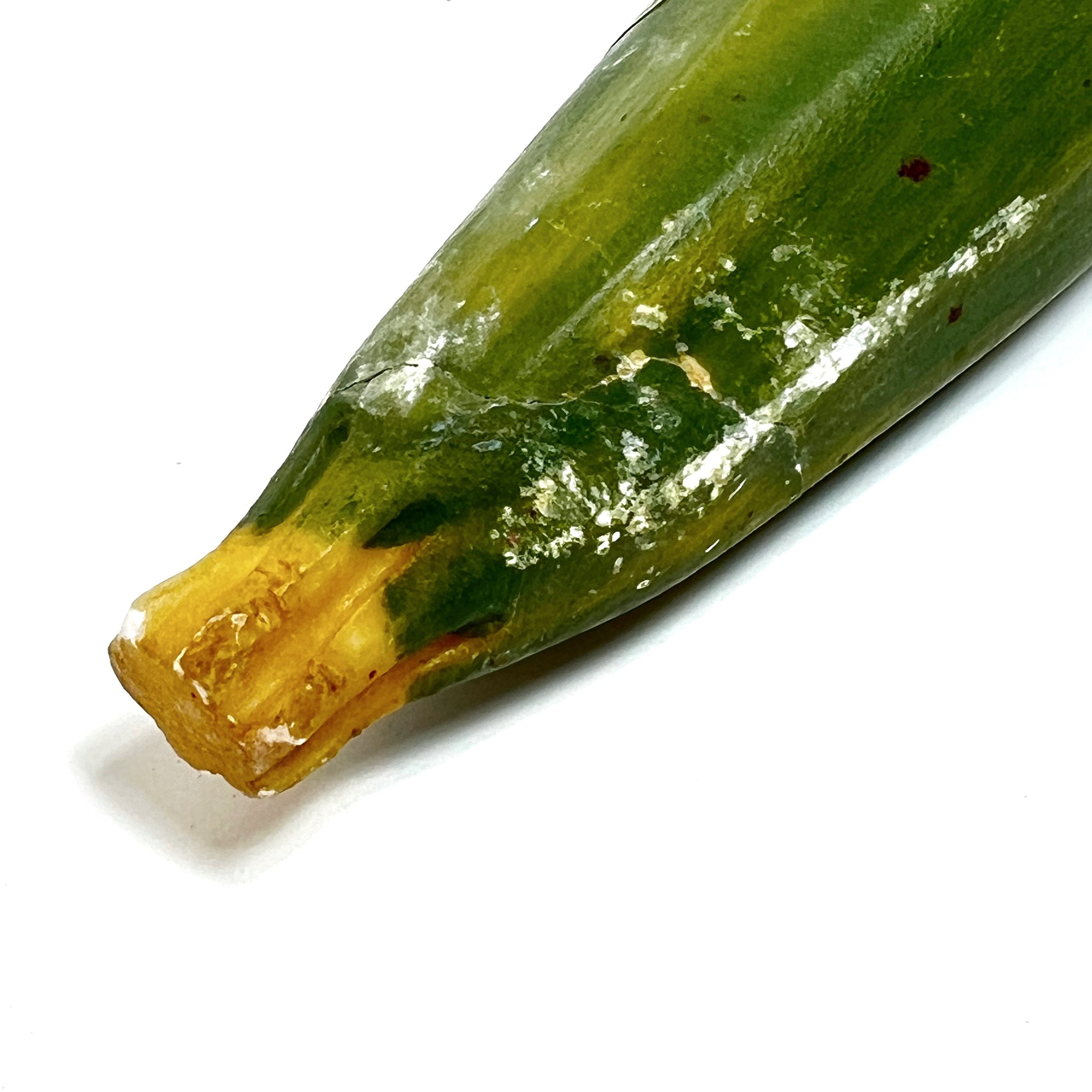 stashestates-alabaster-zucchini-5.jpeg