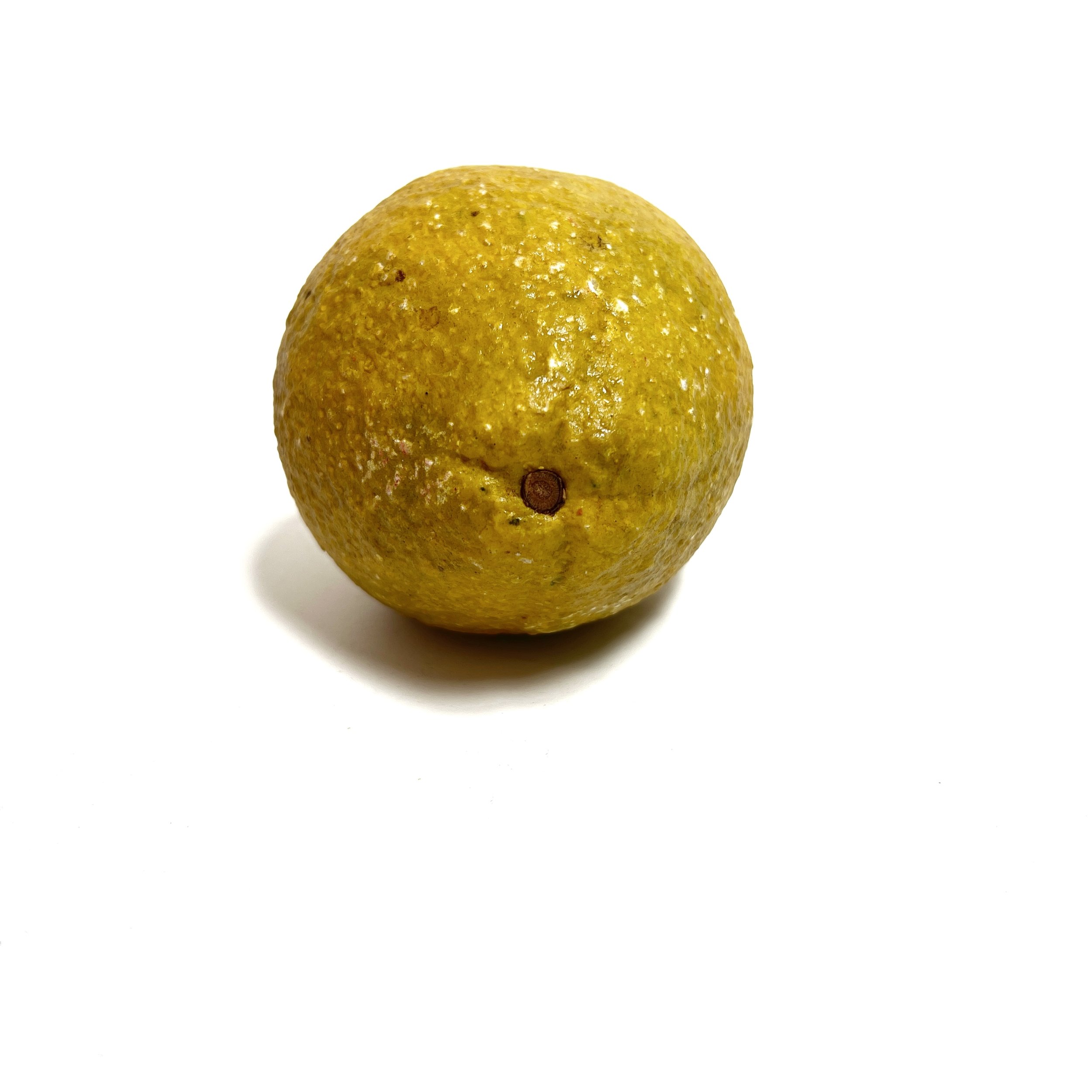 stashestates-alabaster-lemon-4.jpeg