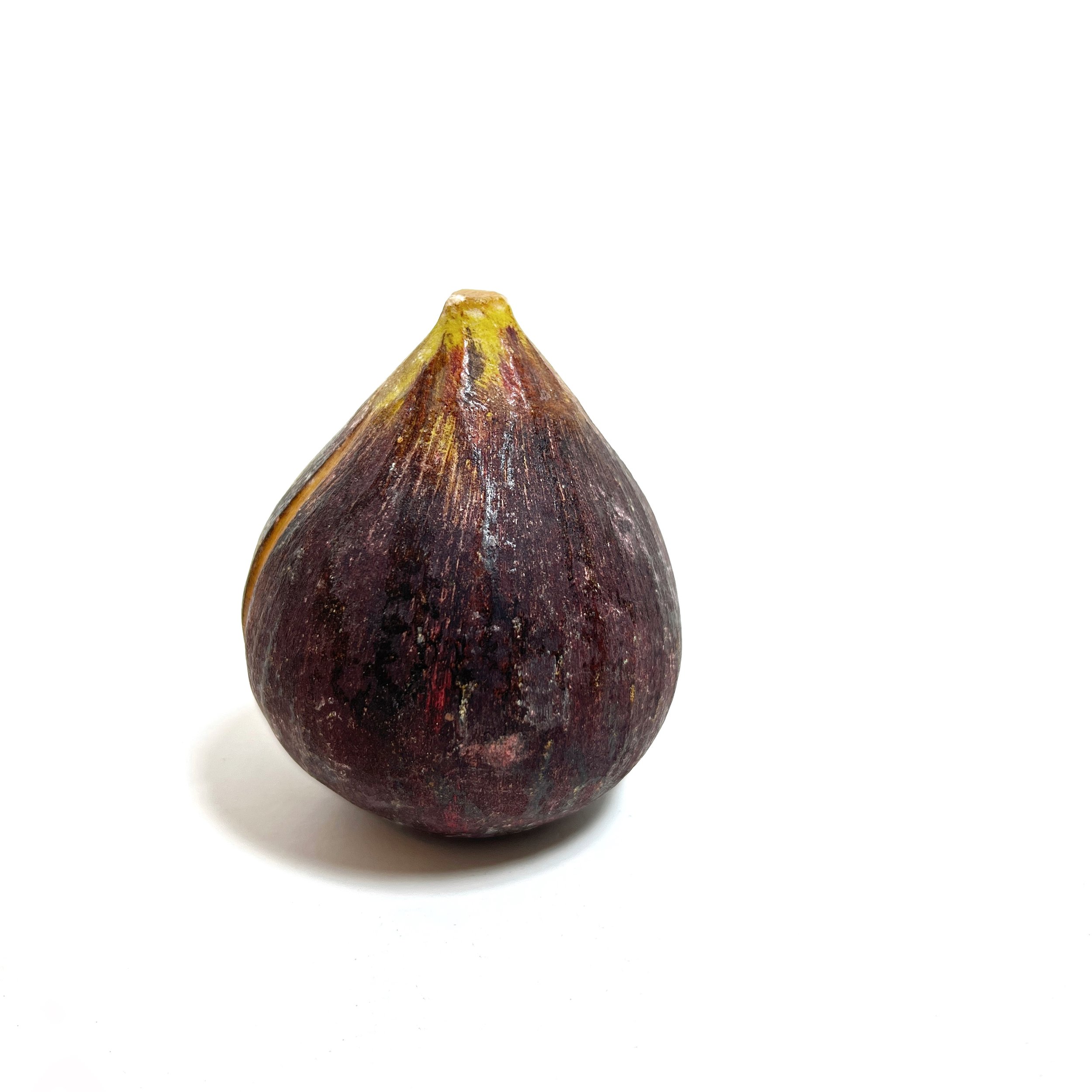 stashestaets-alabaster-fig-2.jpeg