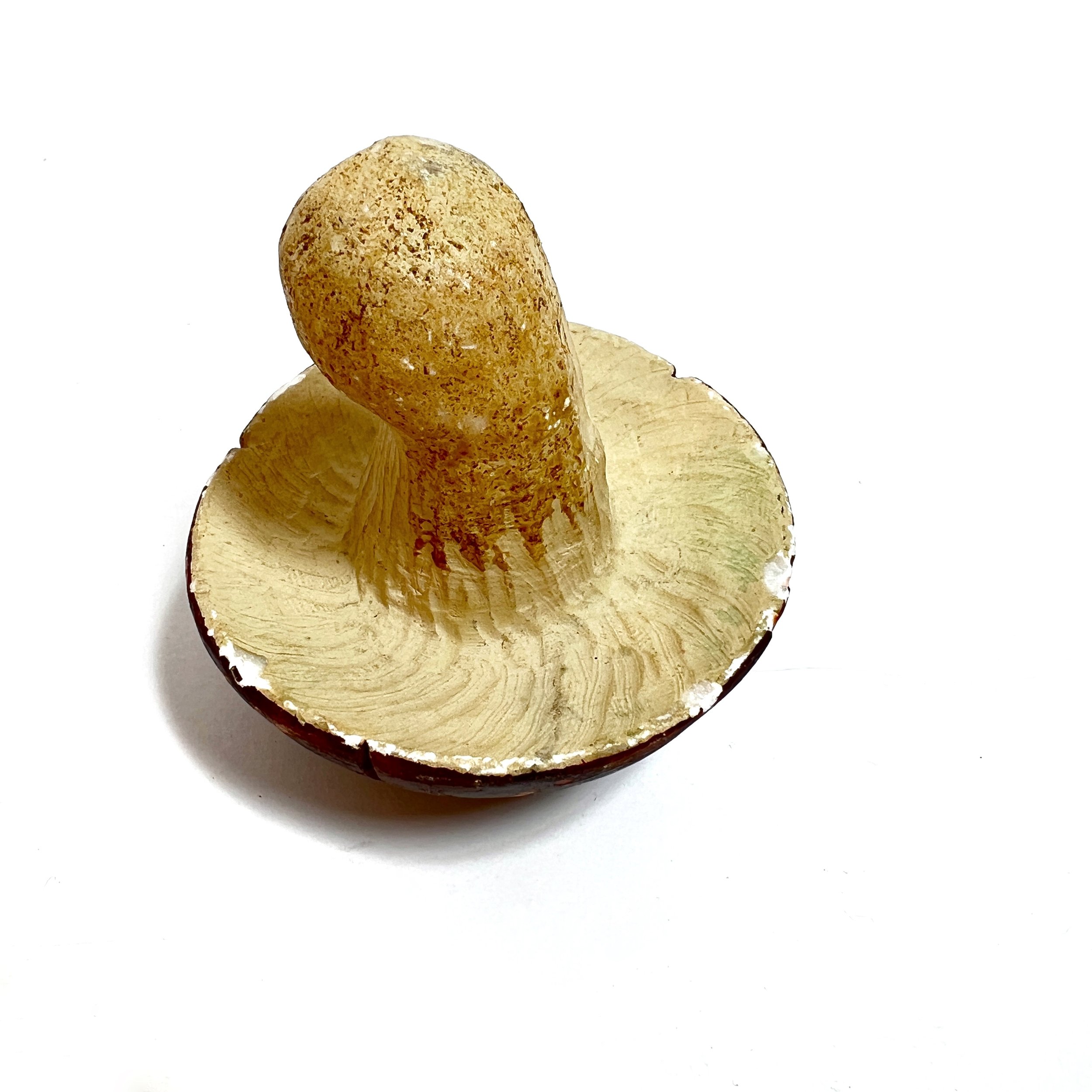 stashestates-alabaster-mushroom-4.jpeg
