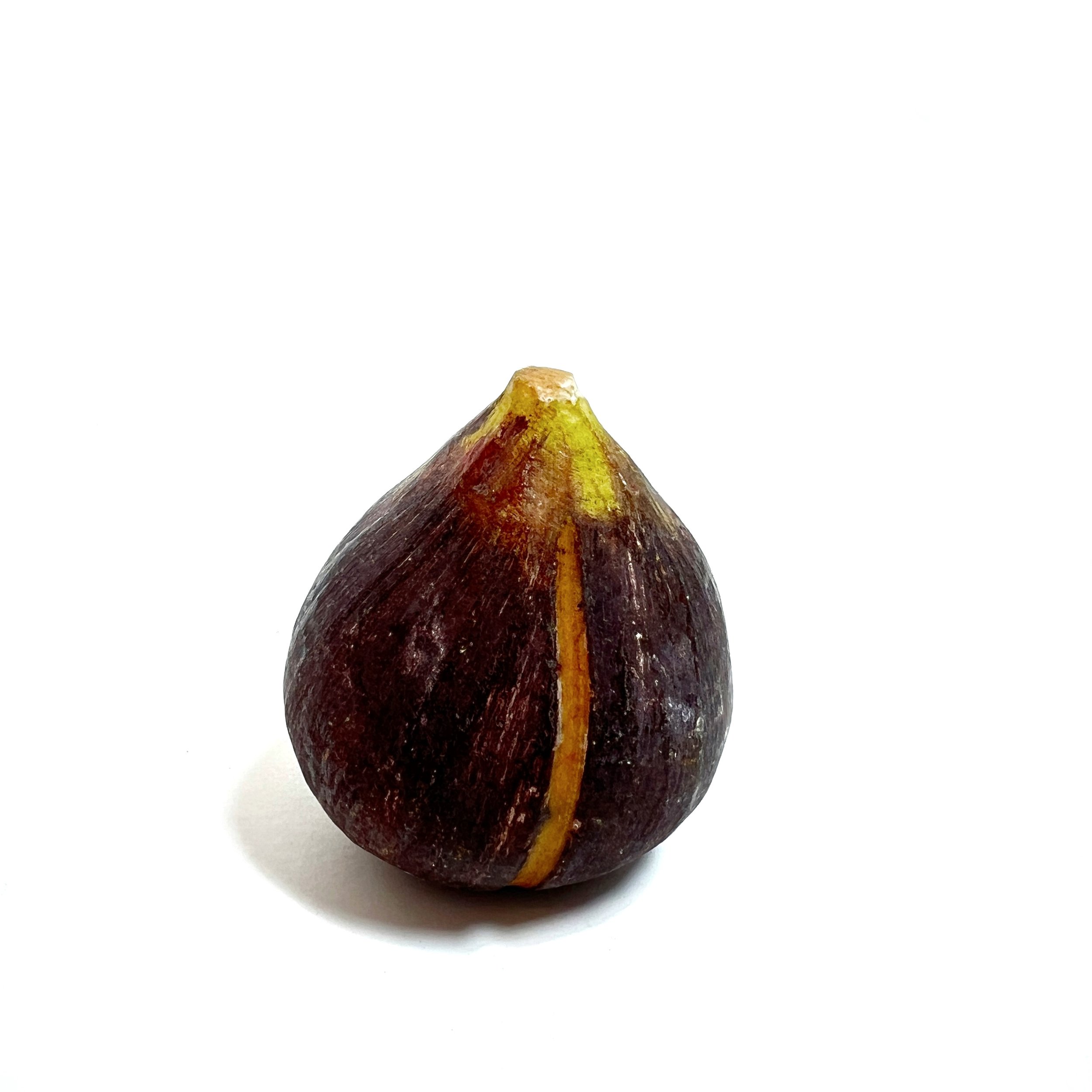 stashestaets-alabaster-fig-3.jpeg