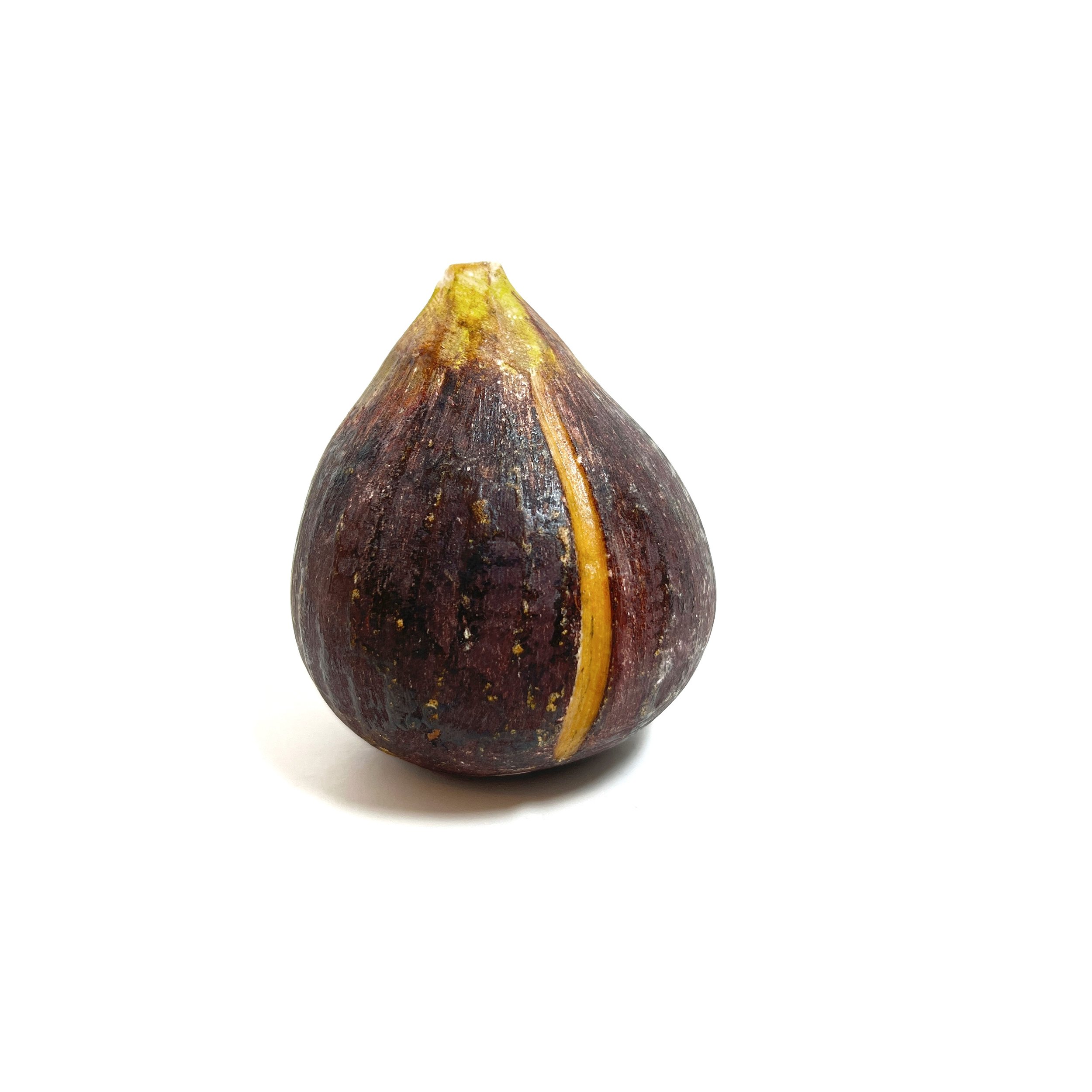 stashestaets-alabaster-fig-1.jpeg