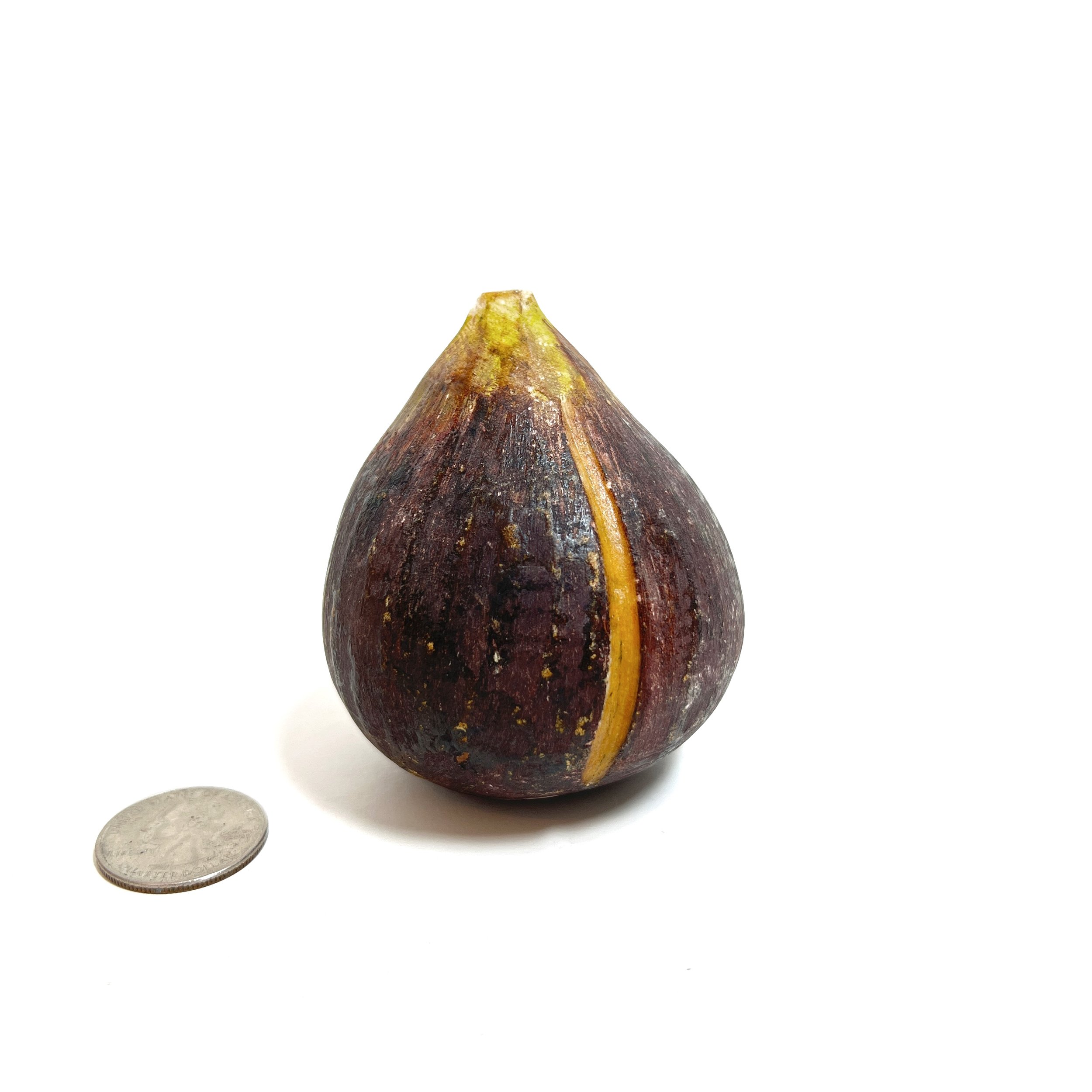 stashestaets-alabaster-fig-8.jpeg