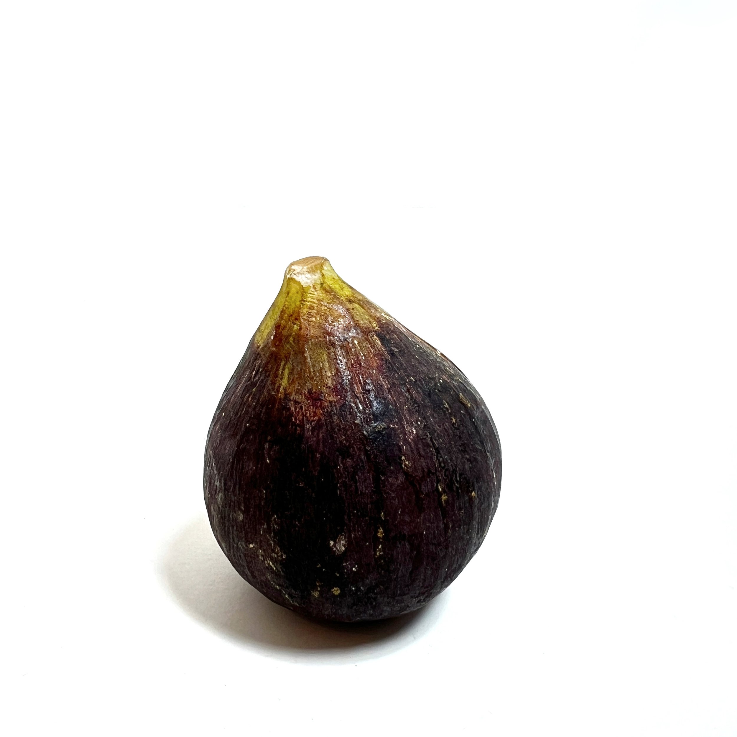 stashestaets-alabaster-fig-4.jpeg
