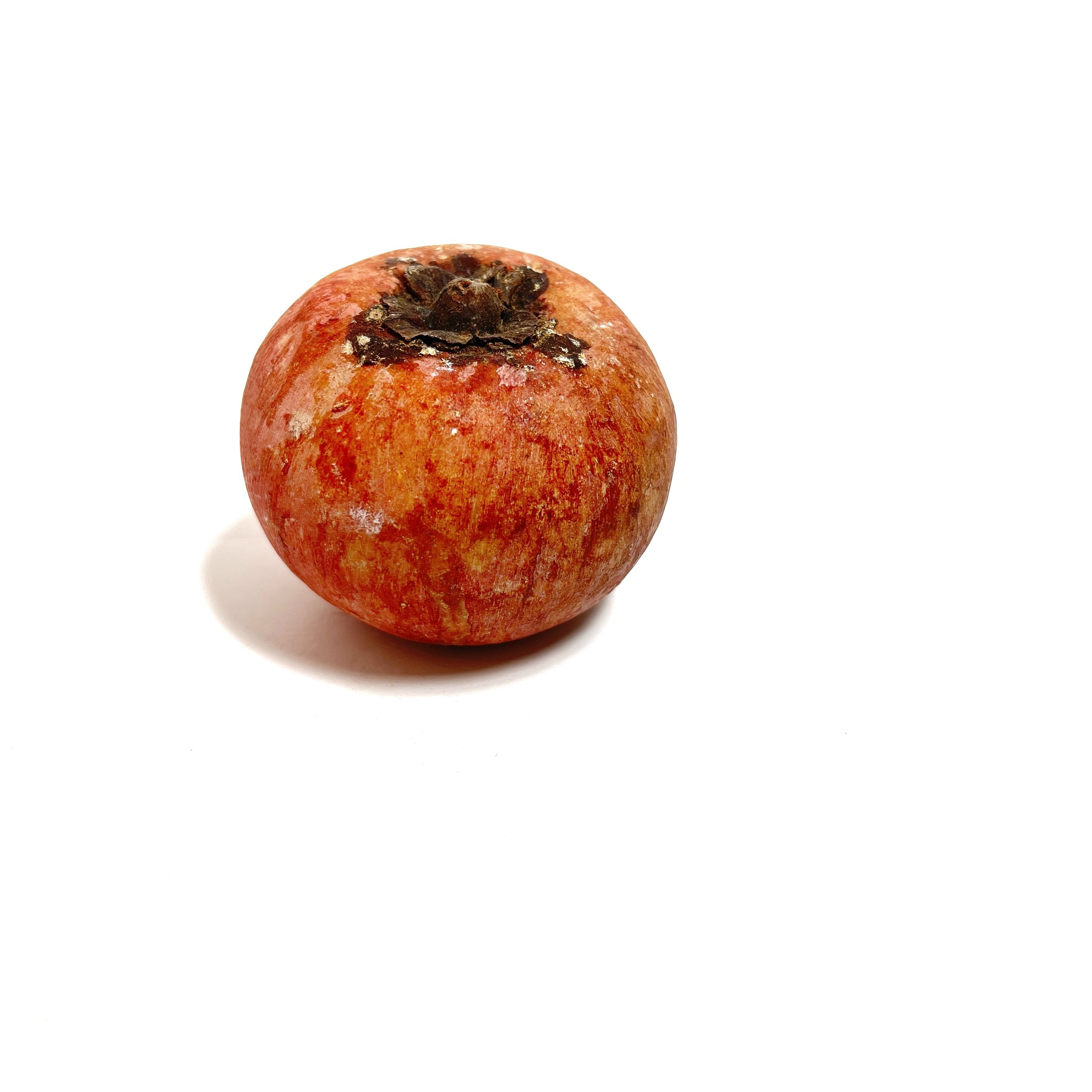 stashestates-alabaster-persimmon-1.jpeg