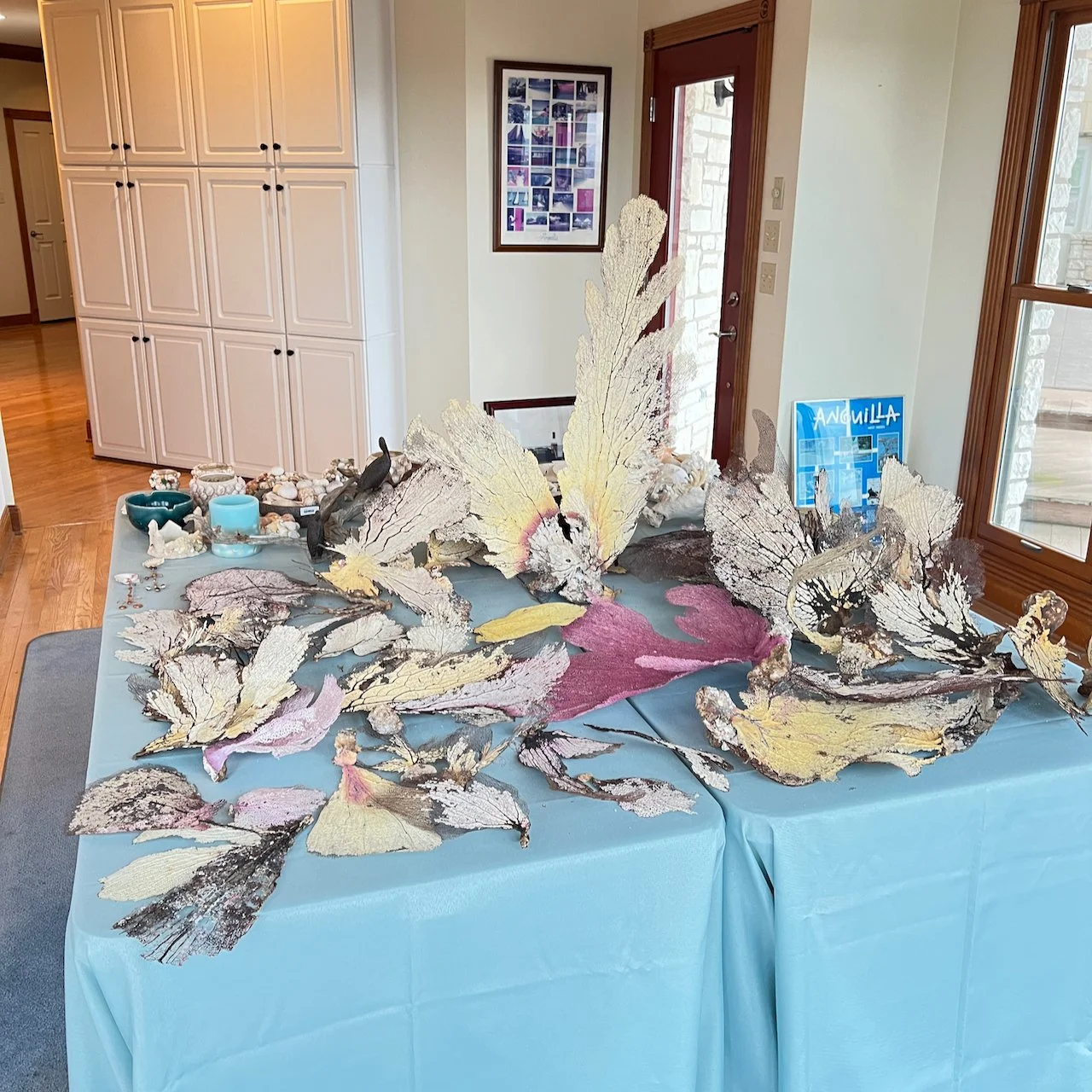 Malec - 48 of 101.jpeg