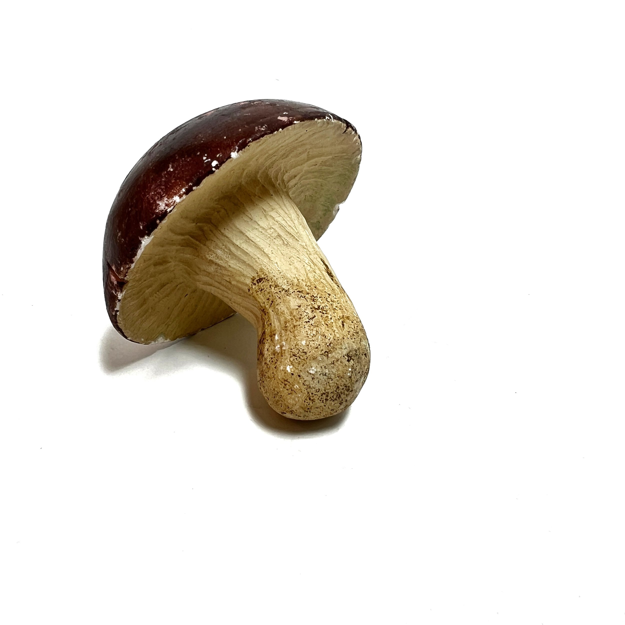 stashestates-alabaster-mushroom-6.jpeg