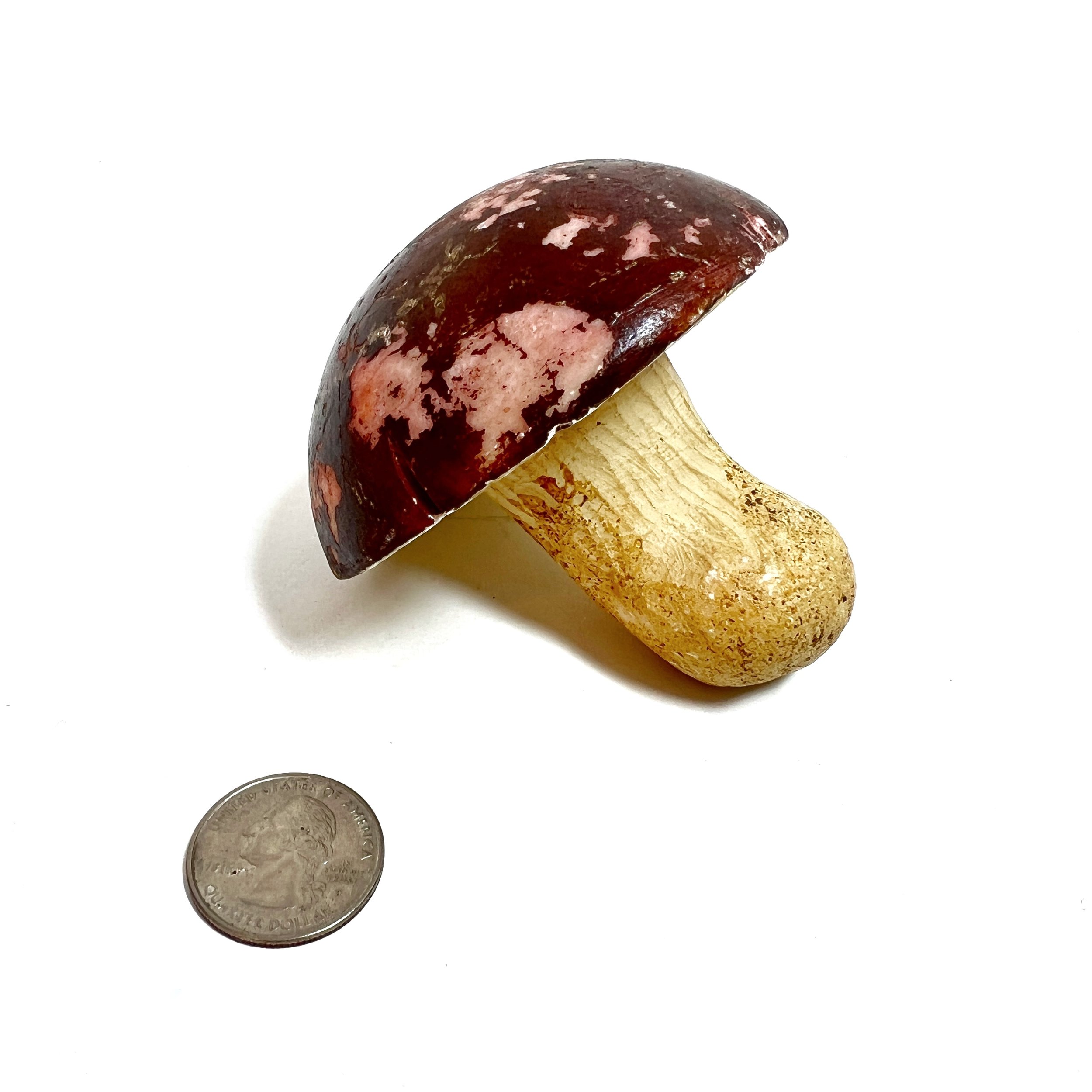 stashestates-alabaster-mushroom-2.jpeg