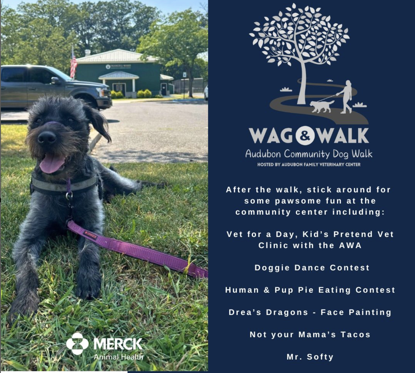 Wag & Walk - Audubon Community Dog Walk