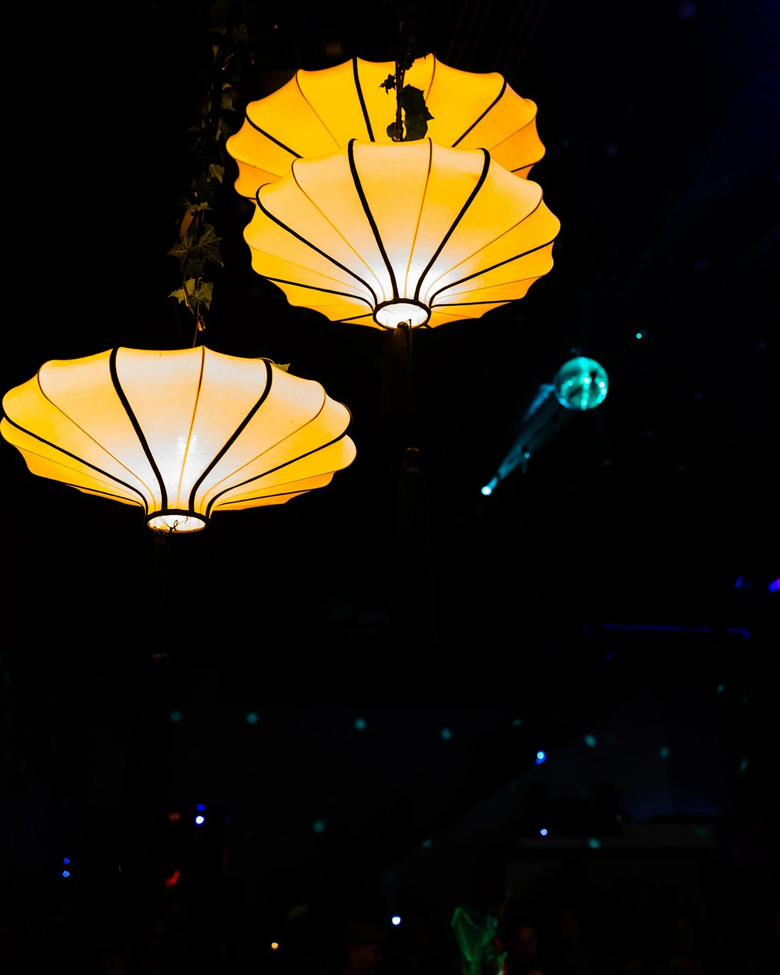 0P2A3165.jpg