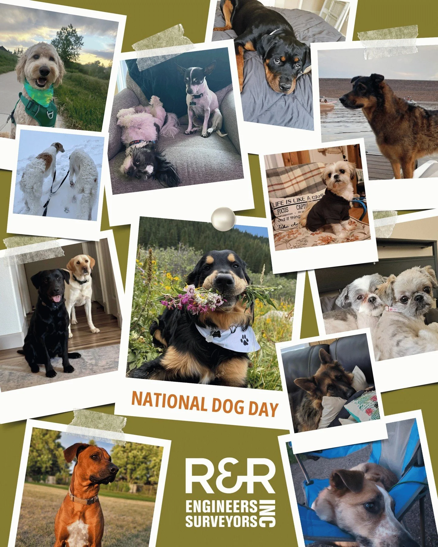 Our Hardest-Working Sidekicks 🐾

National Dog Day may have been yesterday, but today we&rsquo;re celebrating the dogs of R&amp;R who remind us of what matters most. At R&amp;R, we&rsquo;re committed to working hard and having fun&mdash;and our dogs 
