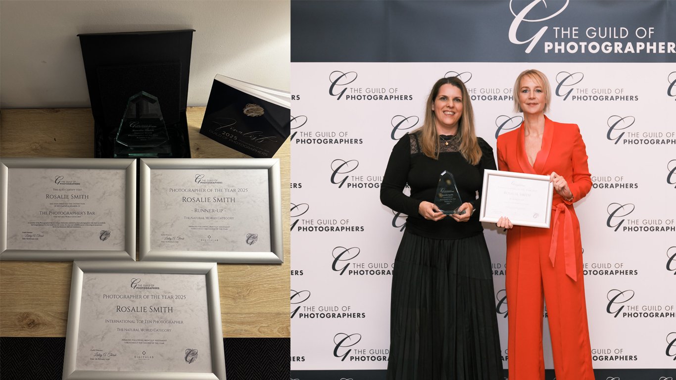 The Guild of Photographers Awards 2025