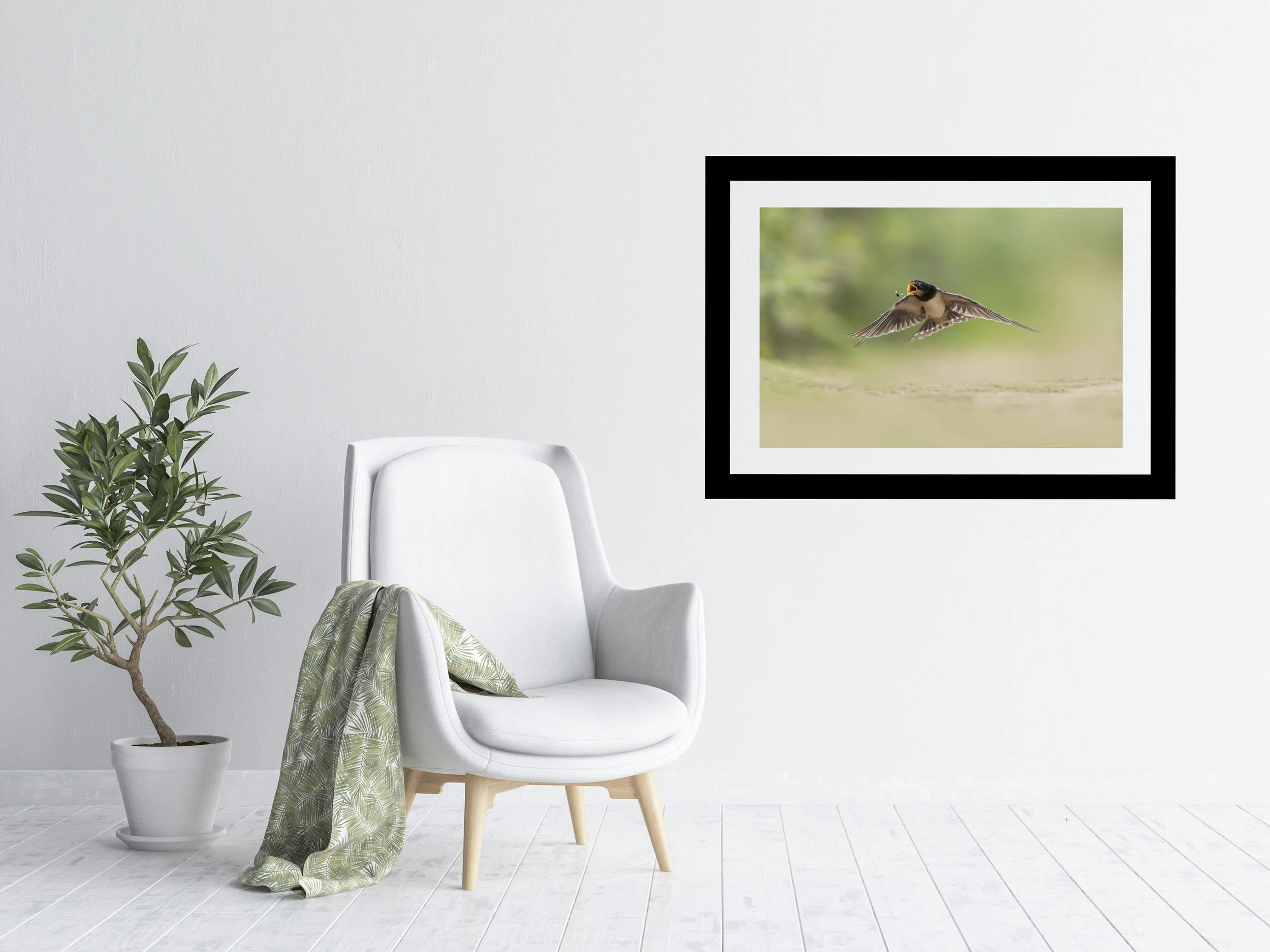 FRAMES_HIGH_PORTRASIT swallow.jpg
