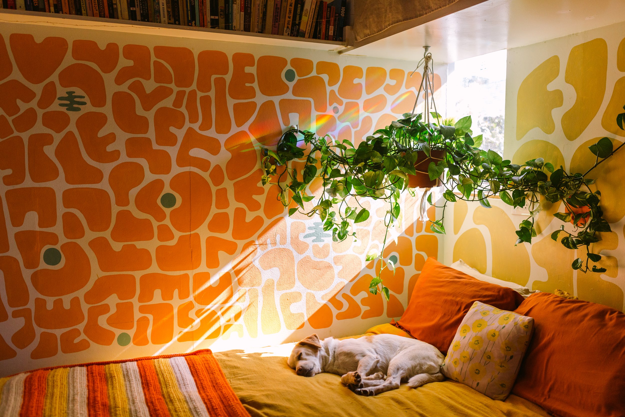 a bedroom in Encinitas, CA