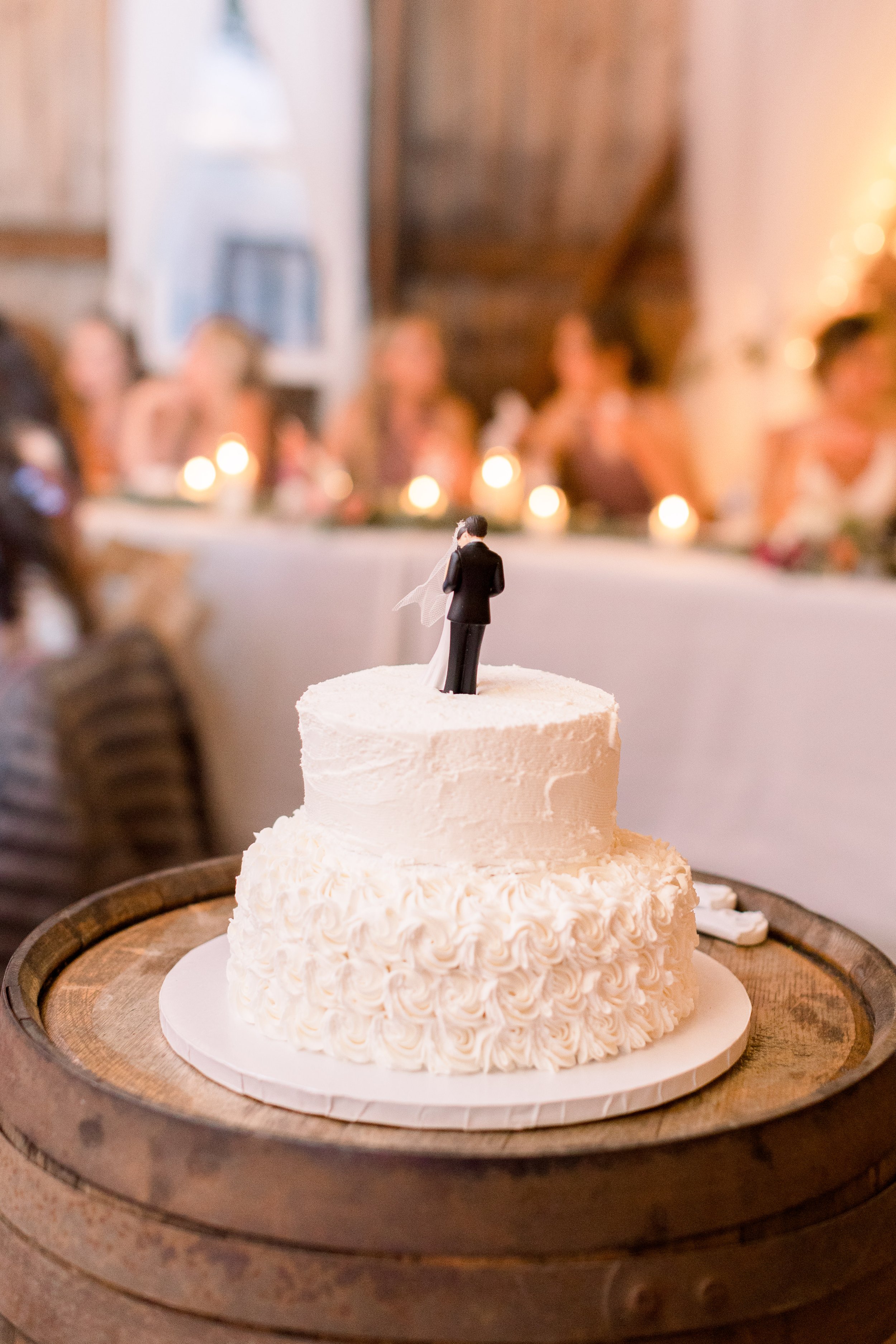 Christy_Peter_Suchomskis_Wedding--60.jpg