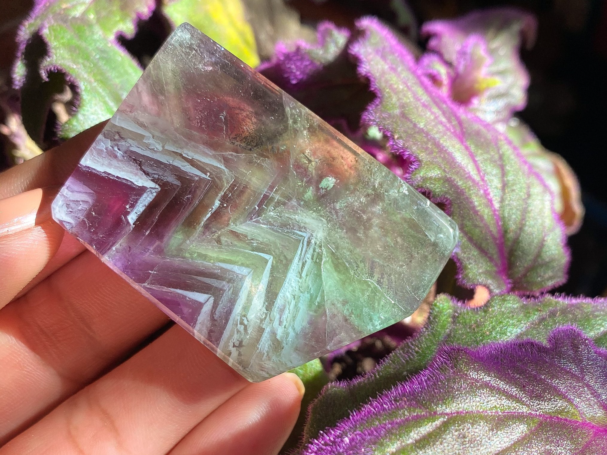 PLANT & CRYSTAL COMMUNION SERIES