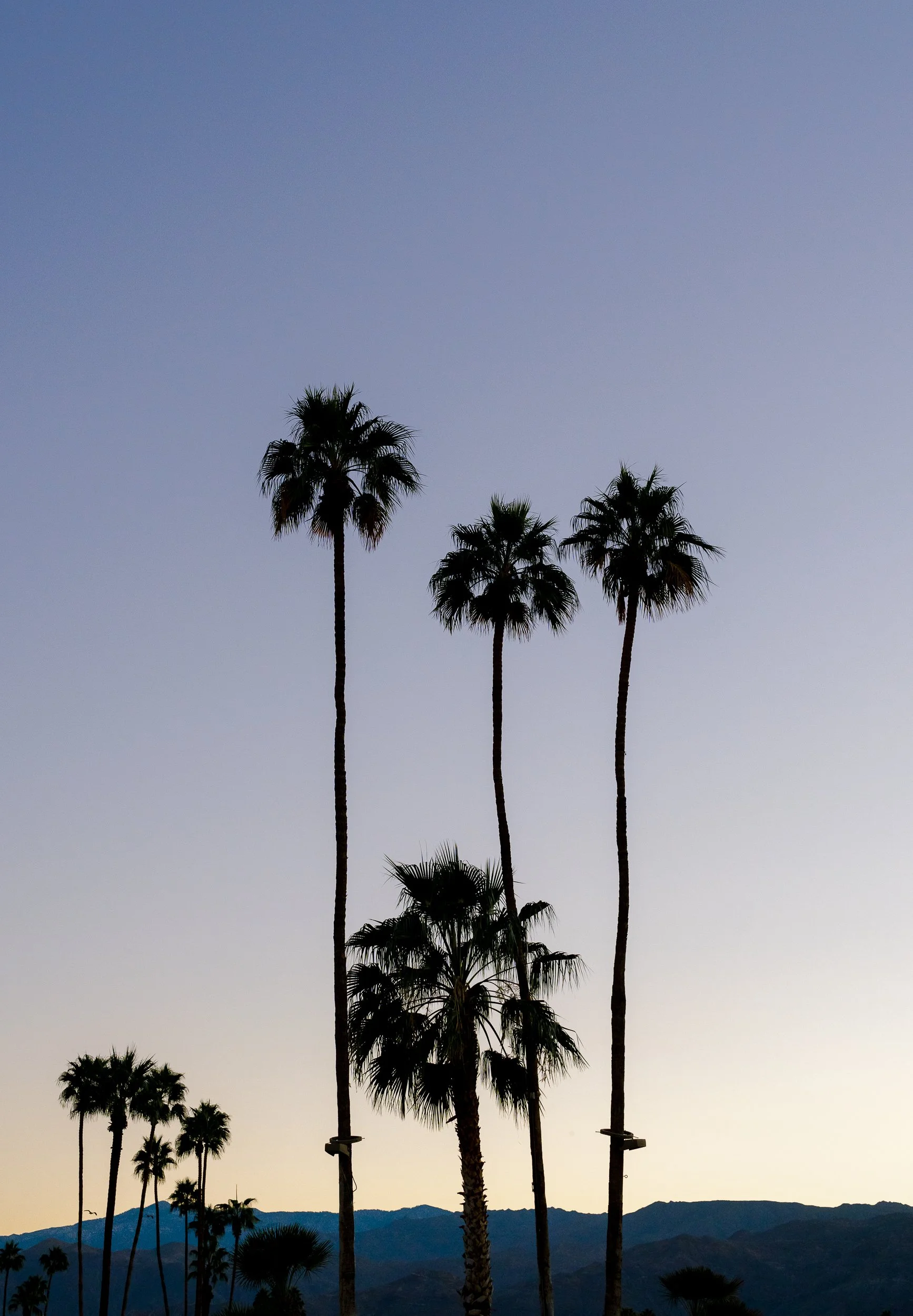 trrra website-43.jpg