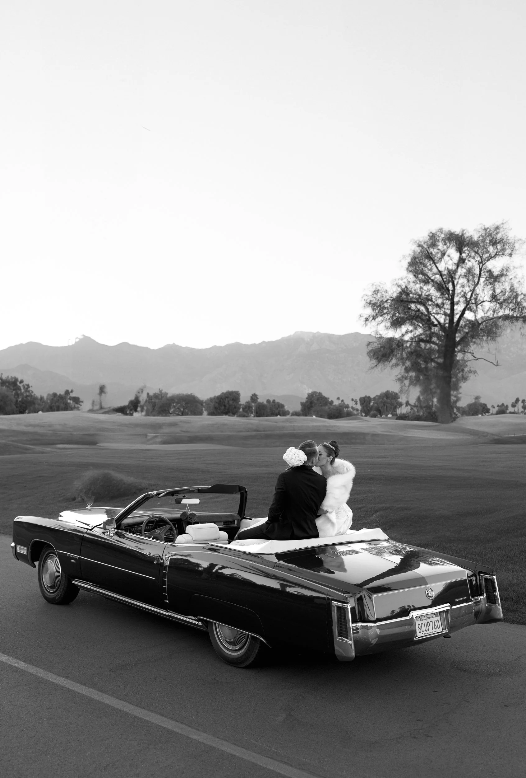 trrra website-35.jpg